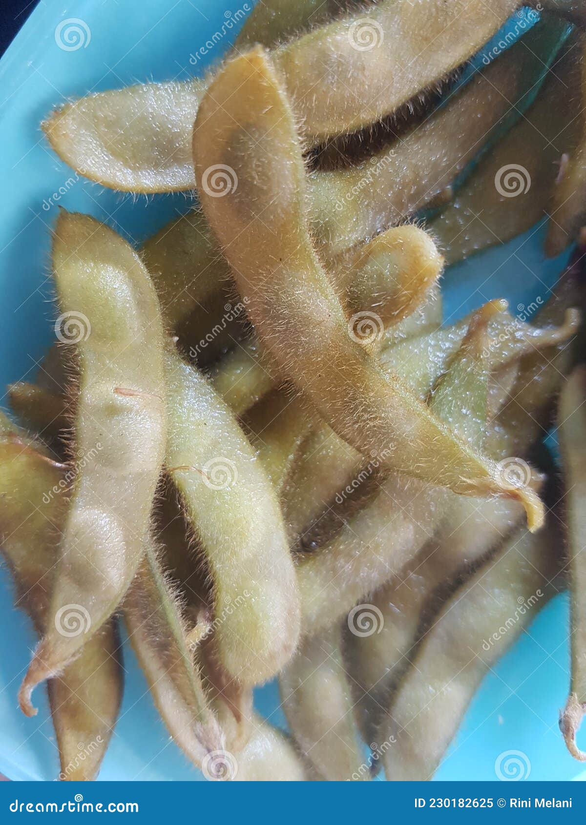 Boiled young soybeans stock image. Image of snack, farmer 230182625