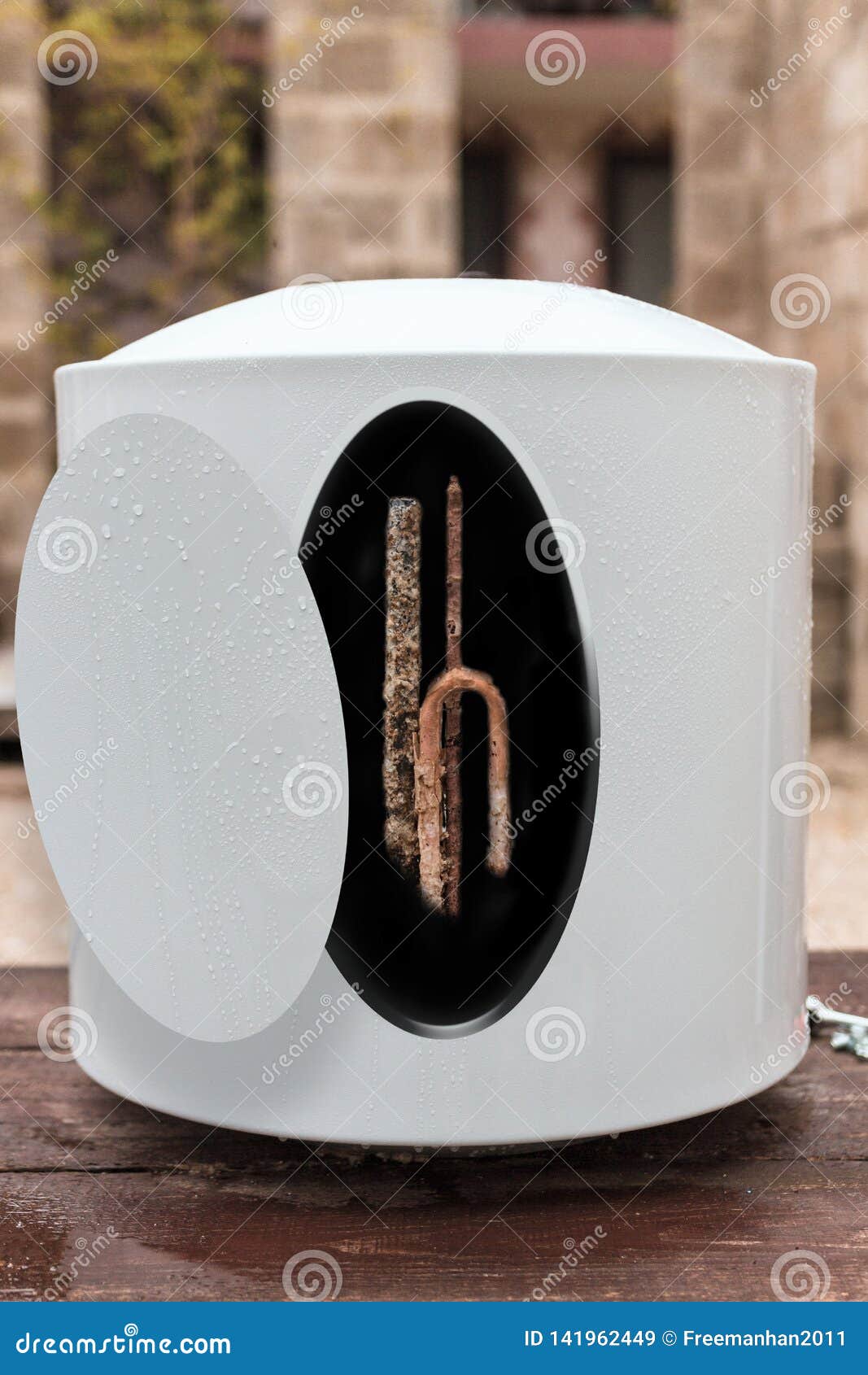 The Boiler in Cut . Inside Heating, Corrosioncoated Element for