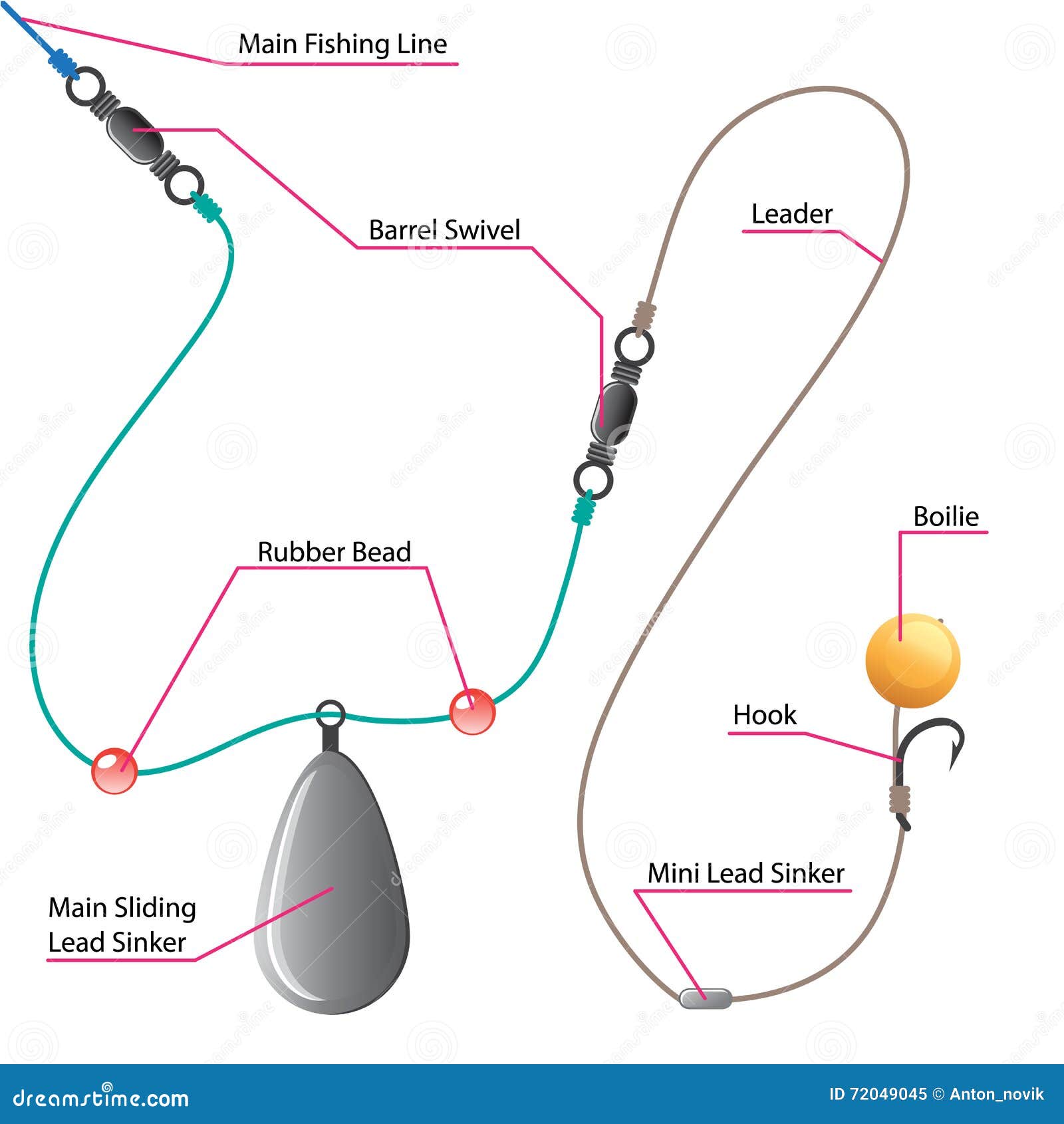 Boilie Setup Diagram for Carp Fishing Stock Vector - Illustration of hook,  attract: 72049045