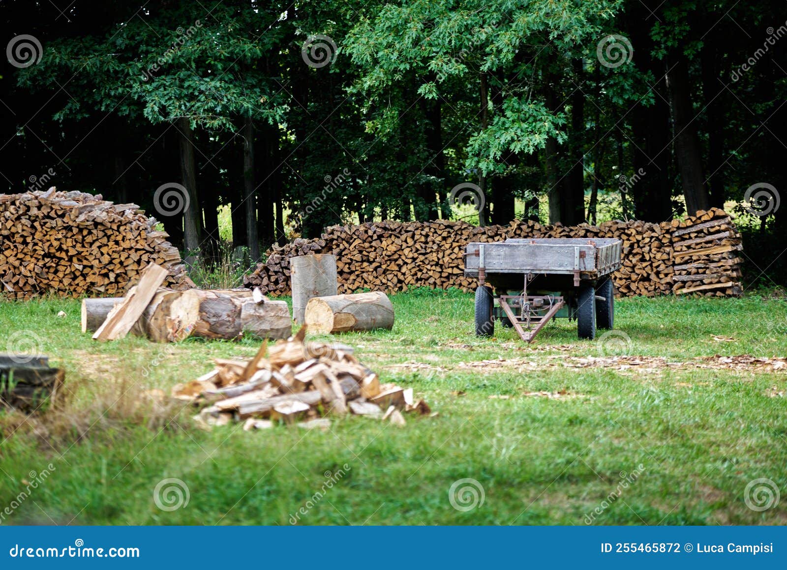 Remorque Pour Le Transport Du Bois De Chauffage En Hiver Photo