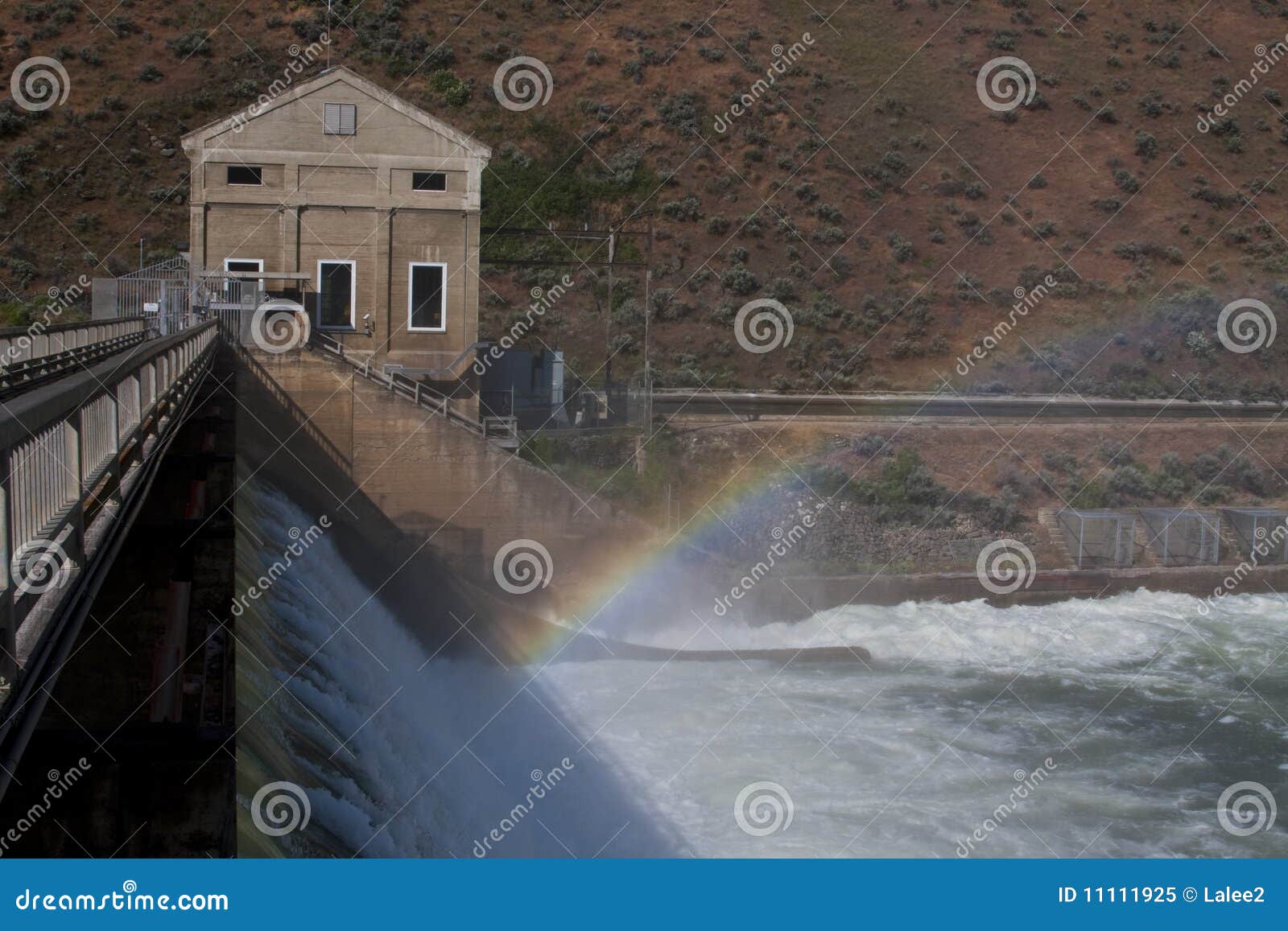 boise diversion dam