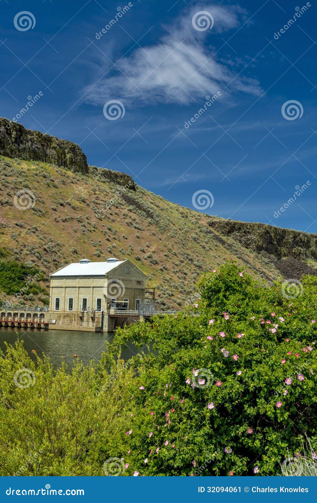 boise idaho irrigation diversion dam and rose bush