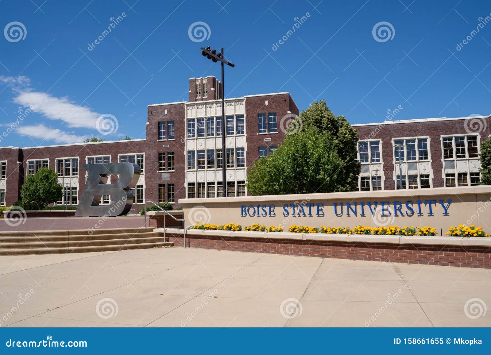 Bsu