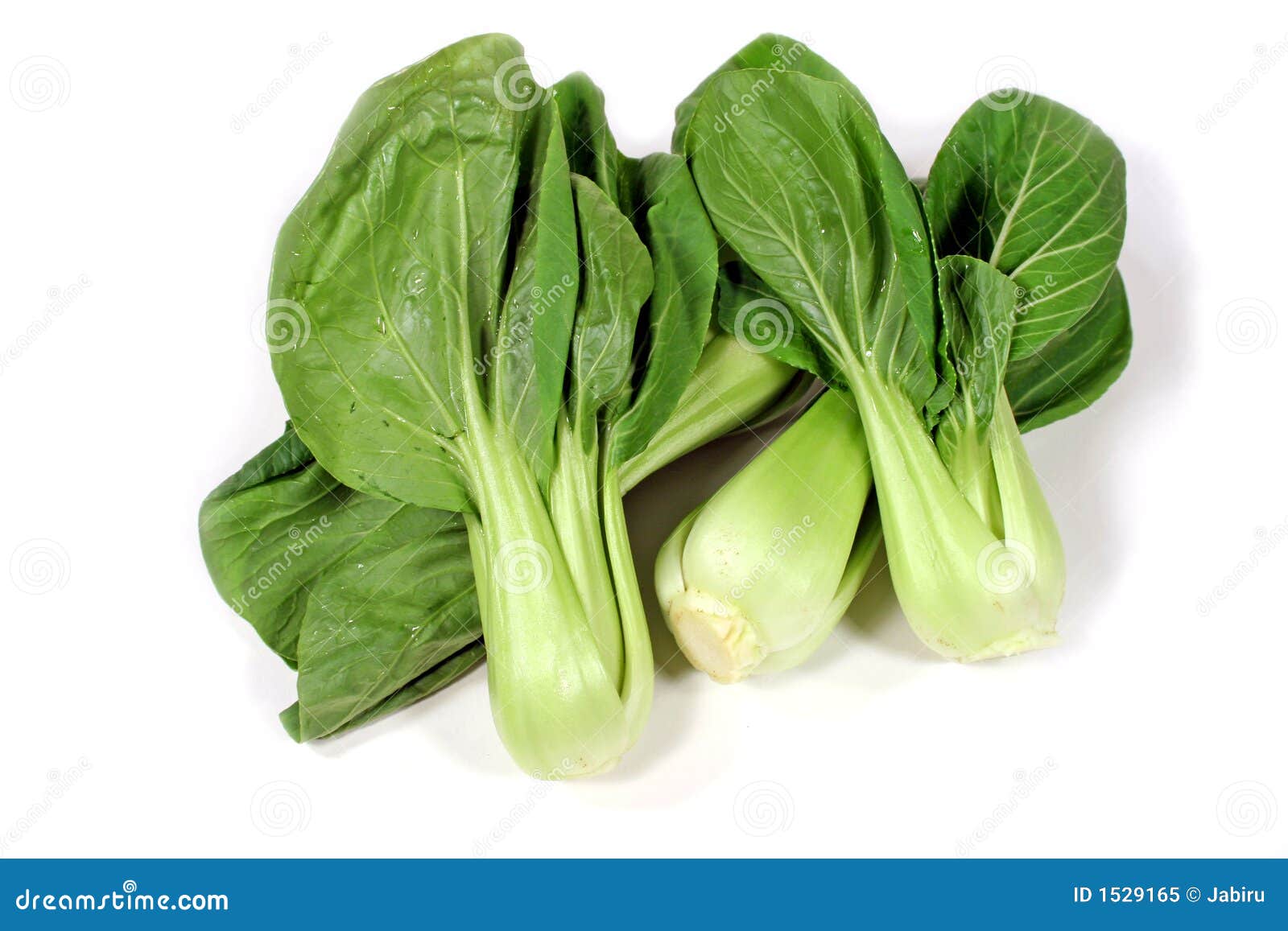Bok Choy 1 stock image. Image of leafy, green, flavor 1529165