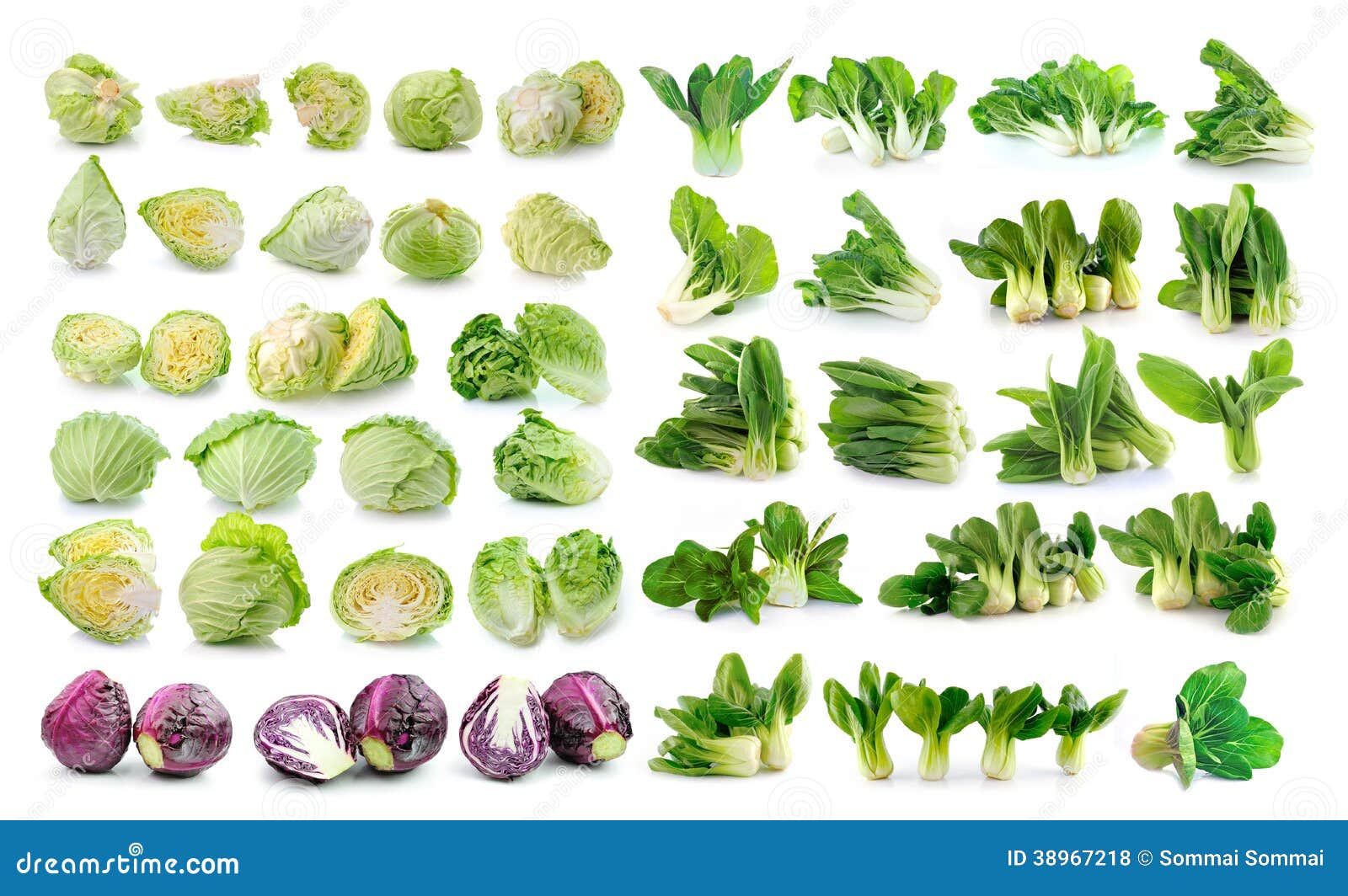 Bok Choy Cabbage Isolated On White Stock Photo Image of 