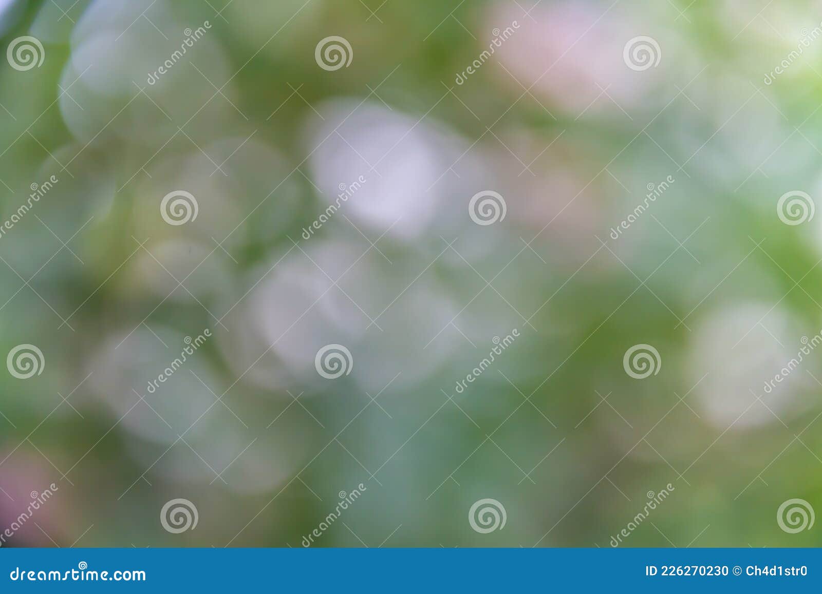 bokeh blurry background, green bokeh background,green bokeh,green bokeh abstract objects
