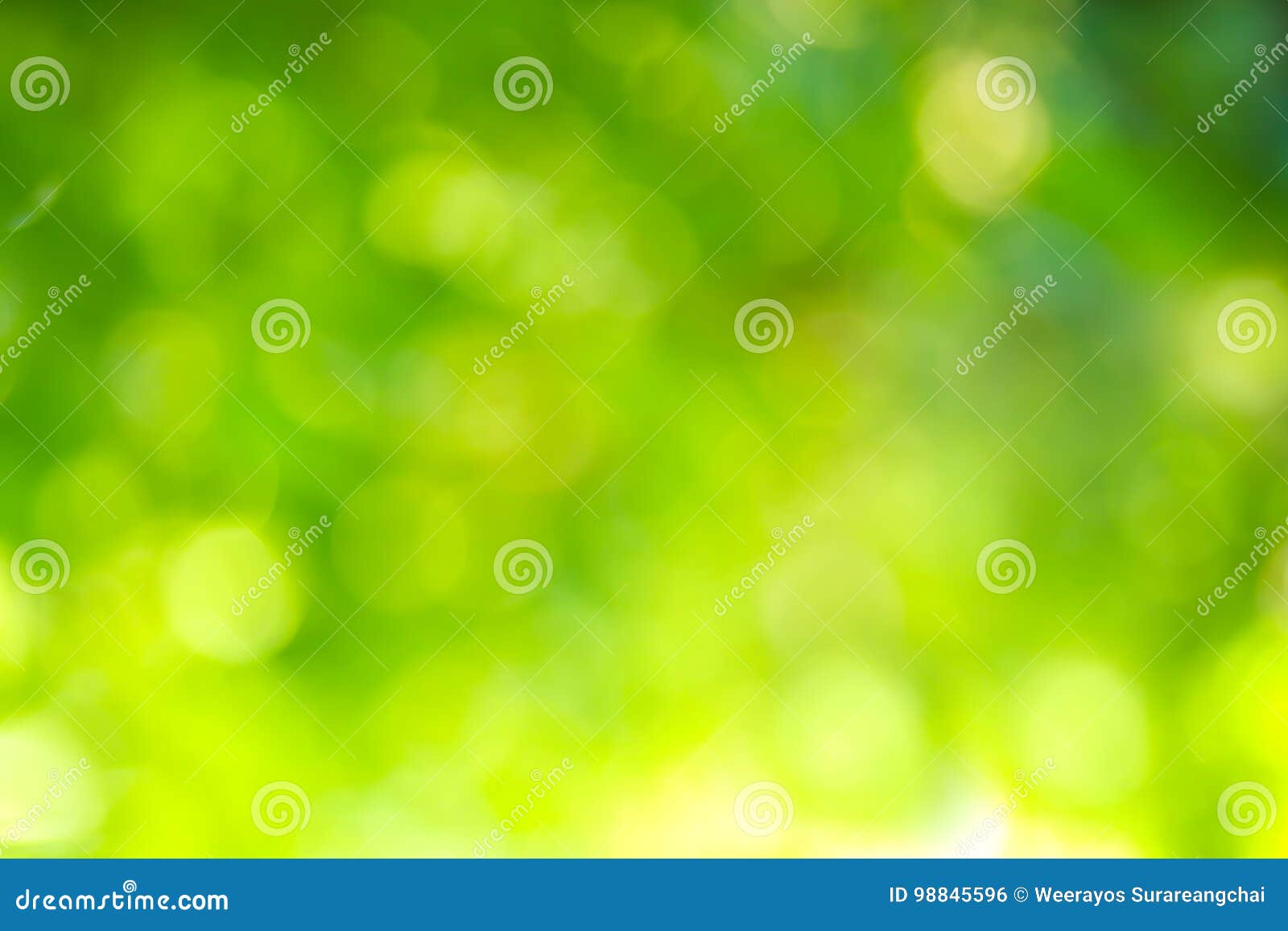 Bokeh Green Background of Nature. Stock Photo - Image of design, green:  98845596