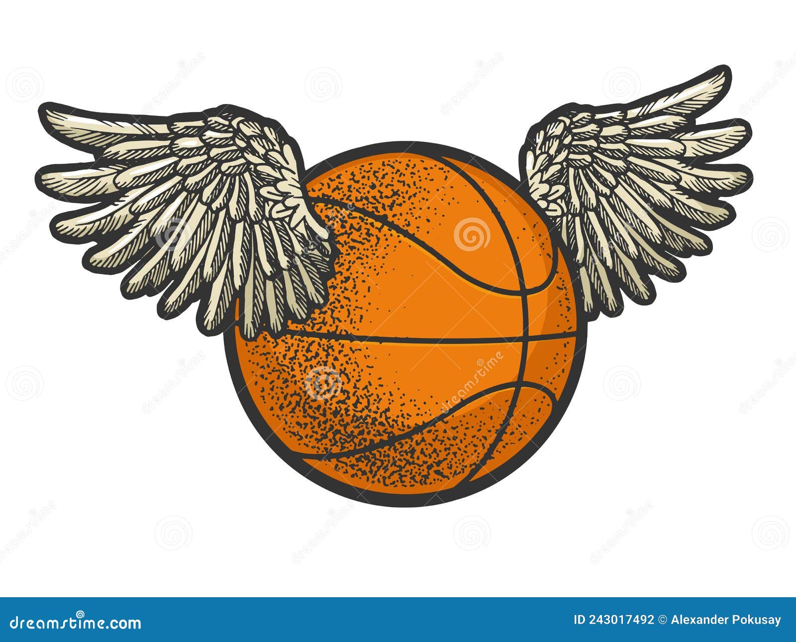 Bola De Basquetebol Com Vetor De Esboço a Cores Das Asas Ilustração do  Vetor - Ilustração de equipamento, arte: 243017492