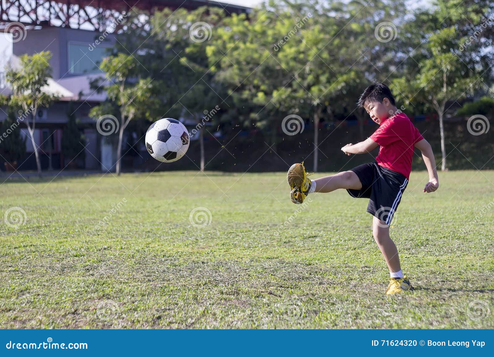 Bola De Futebol No Campo De Jogos Da Grama Verde Imagem de Stock