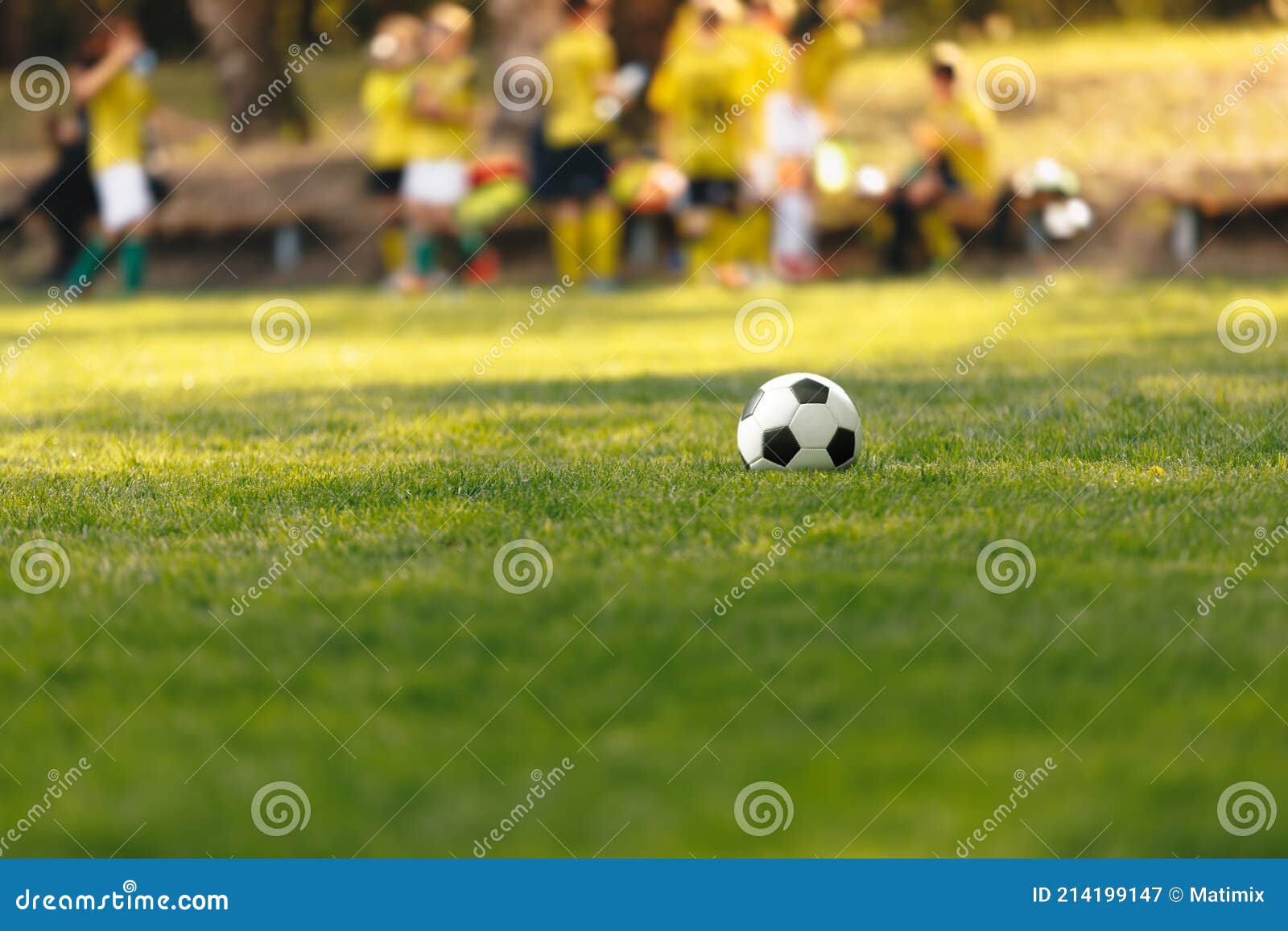 Foto Bola de futebol amarela e preta na grama verde – Imagem de