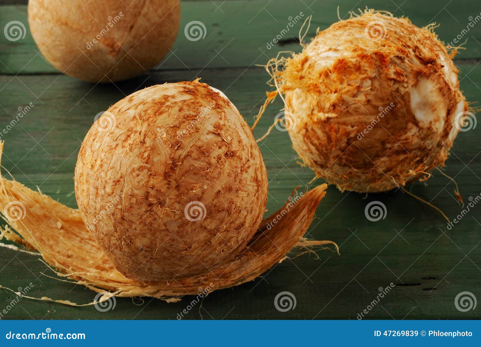 Bola de coco doce chamada naru em bangladesh
