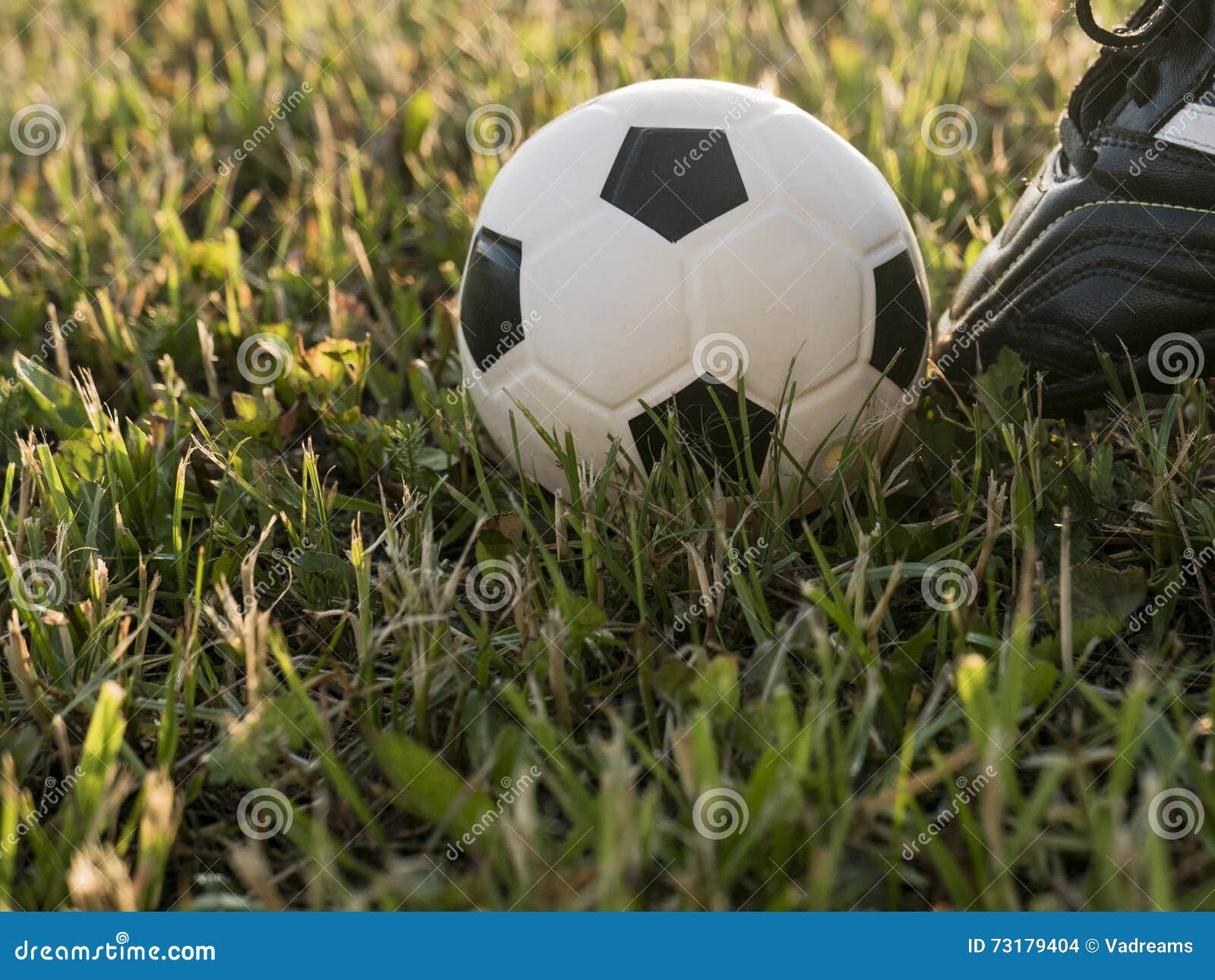 Bola No Lance Inicial De Um Jogo Do Futebol Ou De Futebol Luz