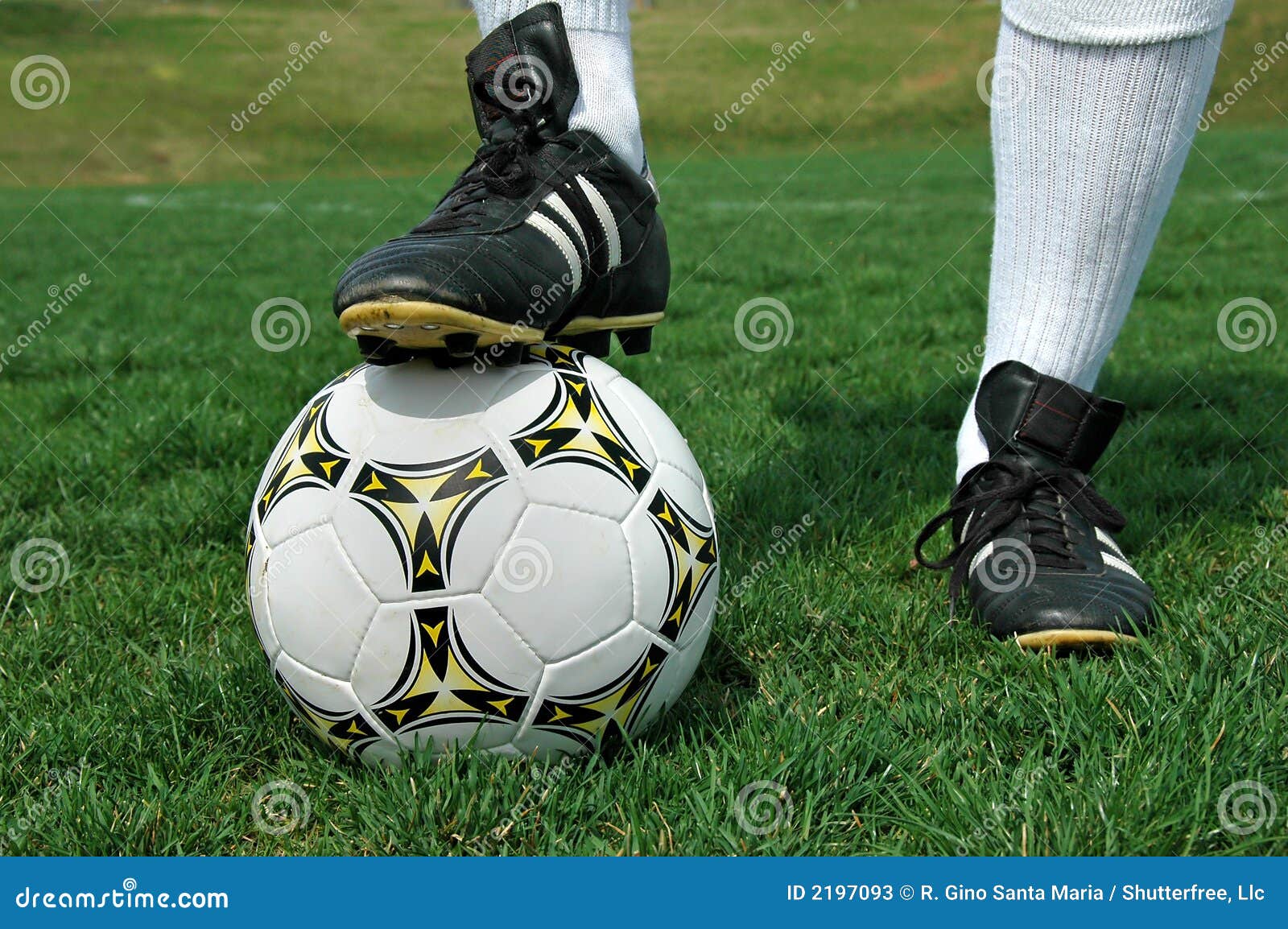 23.600+ Zapatos Futbol Fotografías de stock, fotos e imágenes libres de  derechos - iStock