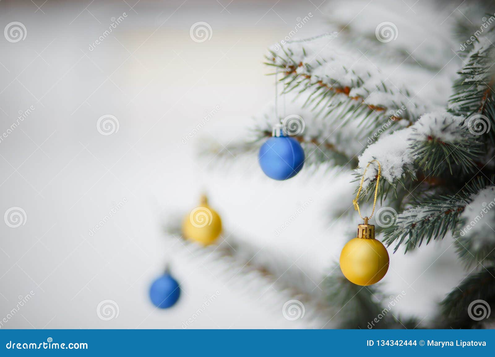 Bolas De árbol De Navidad Amarillas Y Azules Con Colores De La Bandera De  Ucrania Juguete En árbol Nevado Antecedentes Navideños Foto de archivo -  Imagen de diciembre, pino: 134342444