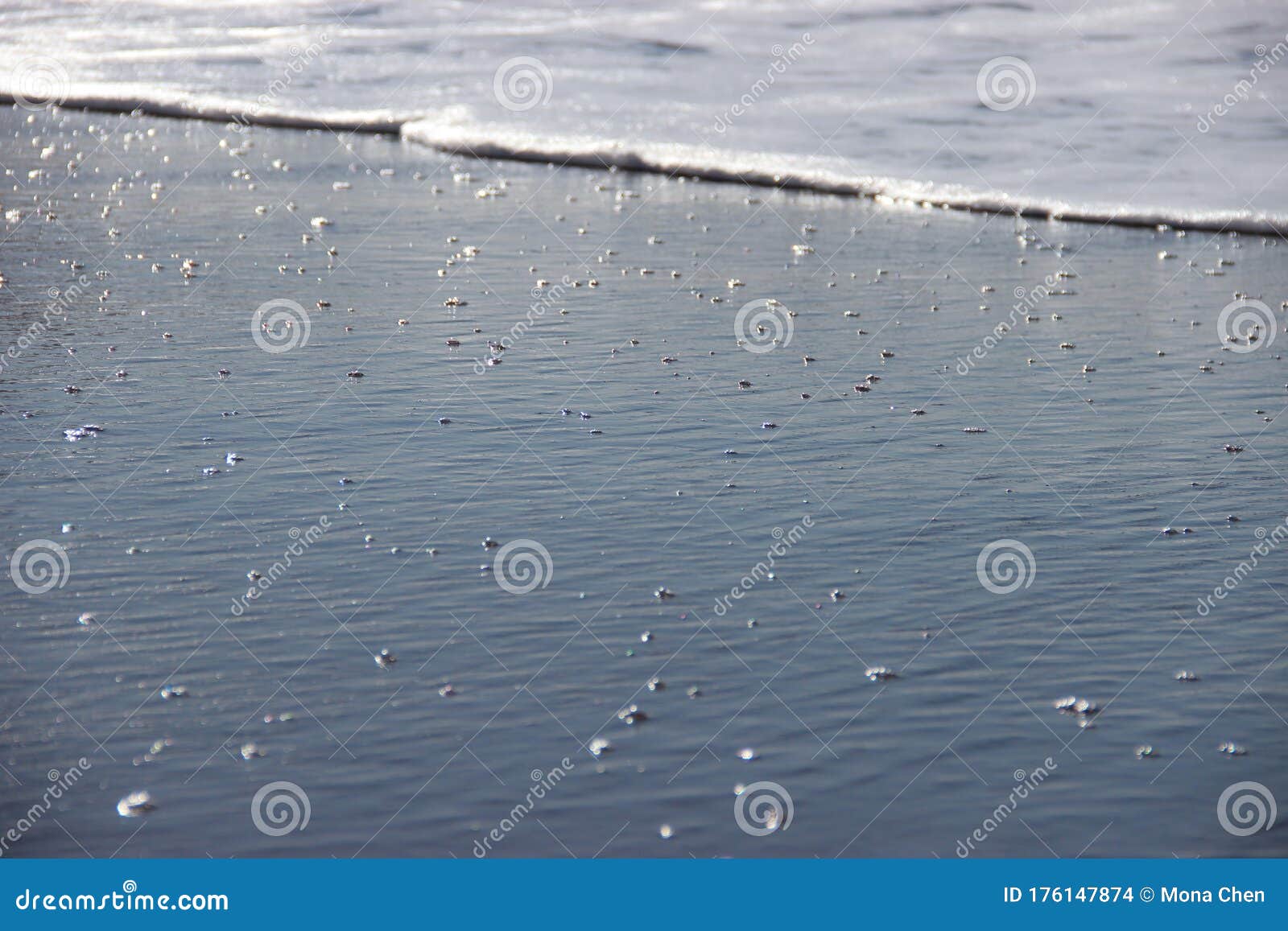 Bolhas De Ondas Do Mar Brilham Ao Sol Foto de Stock - Imagem de oceano,  wallpaper: 176147874