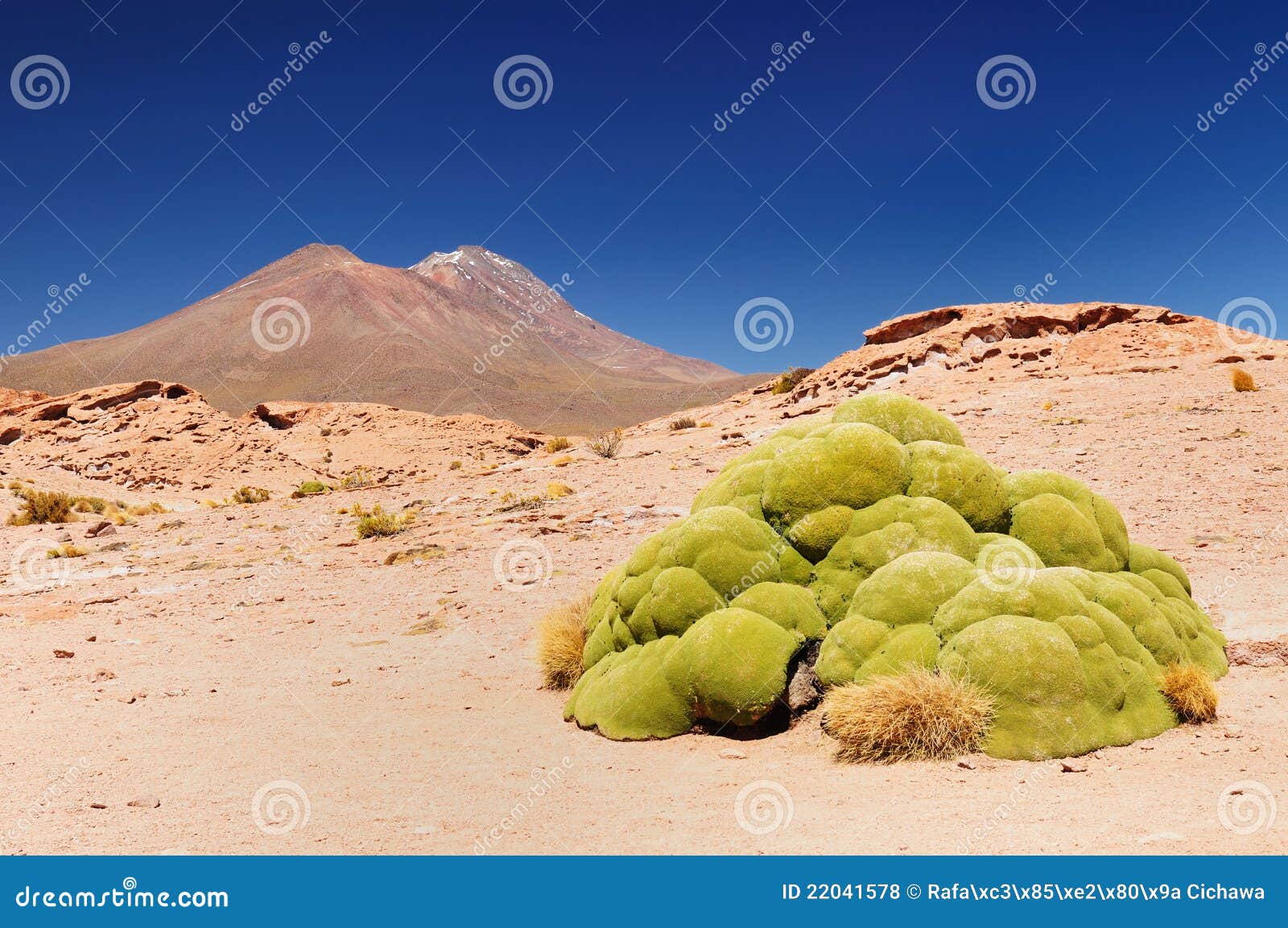 bolivia - eduardo avaroa national park