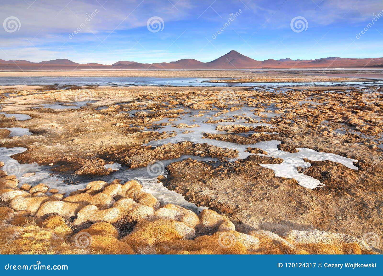 bolivia, laguna colorada, red lagoon, shallow salt lake in the southwest of the altiplano of bolivia, within eduardo avaroa andean