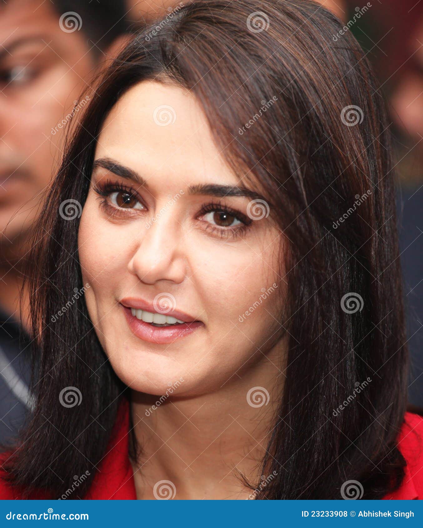 1190px x 1300px - Bollywood Actress Preity Zinta Editorial Stock Photo - Image of lady,  asian: 23233908