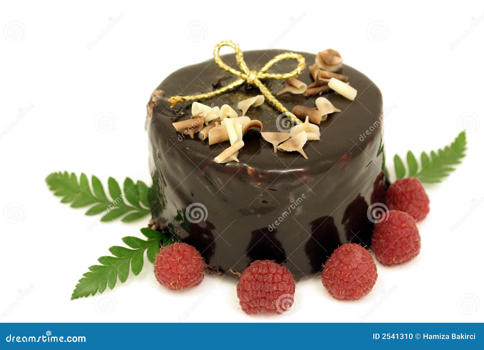 Bolo de chocolate do Natal foto de stock. Imagem de calorias - 2541310 Bolo de chocolate do Natal foto de stock. Imagem de calorias - 2541310