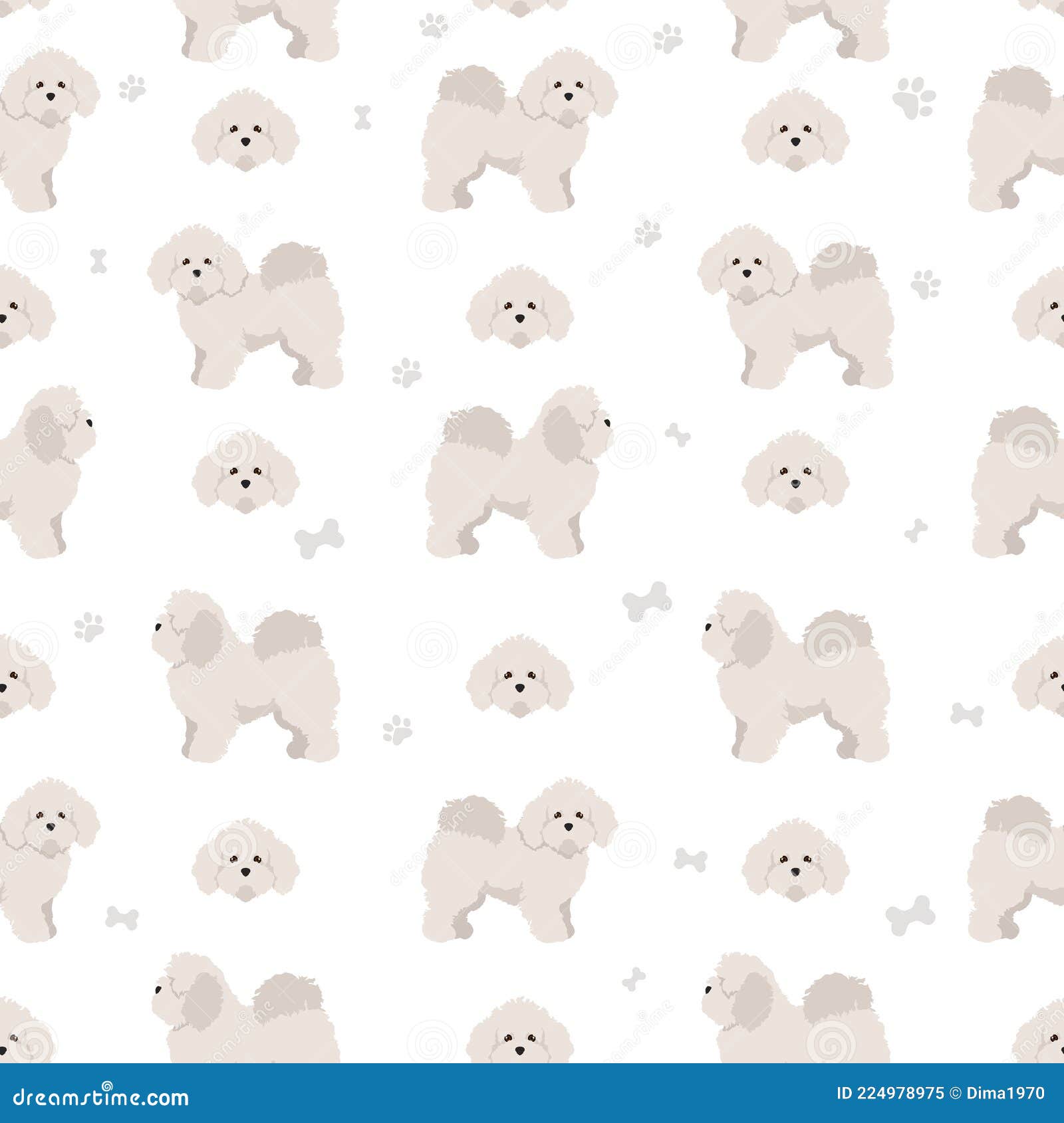 Bolognese Dog Seamless Pattern. Different Coat Colors and Poses Set Stock Vector Illustration