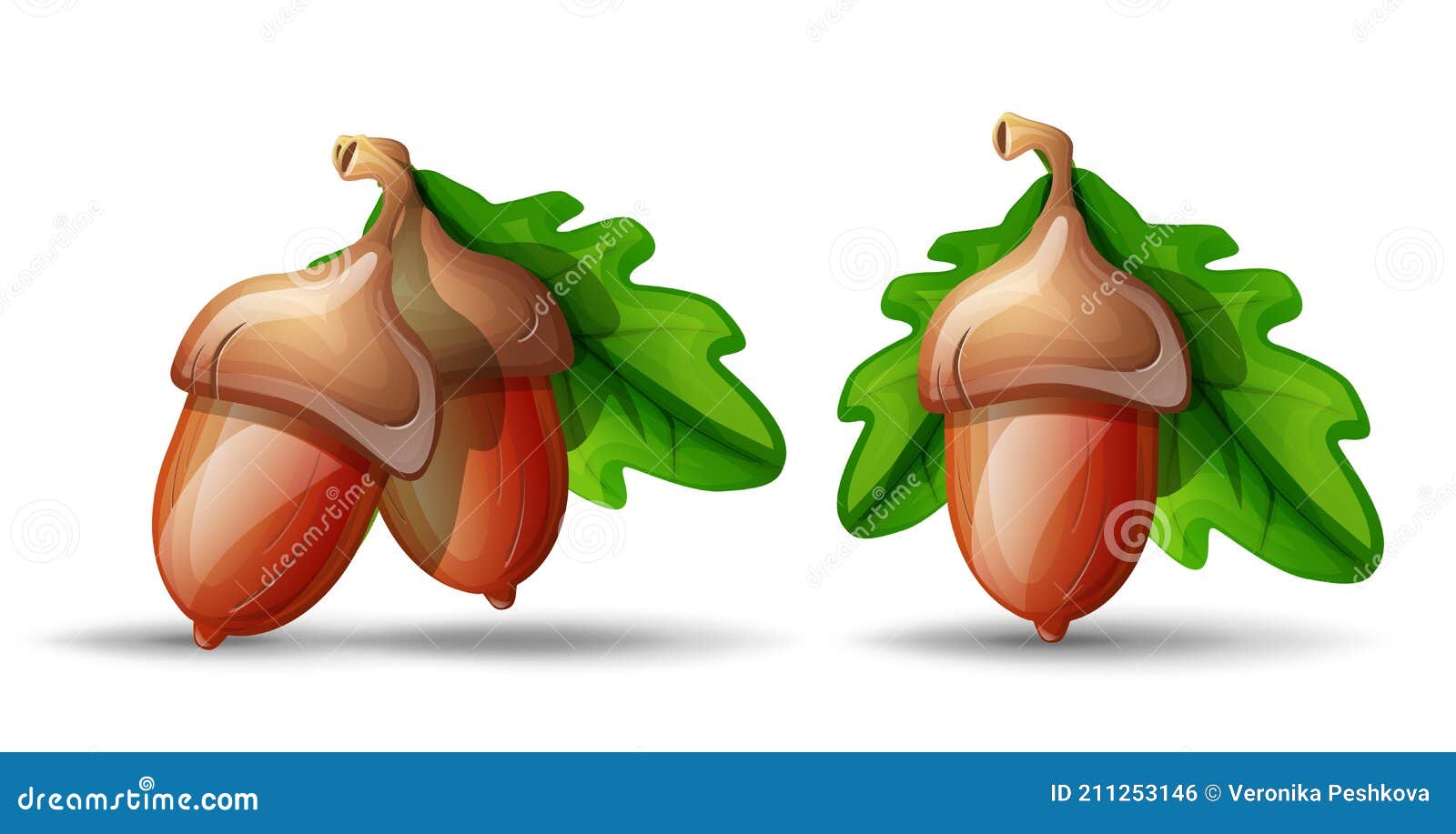 Imagens vetoriais Desenho de bolota