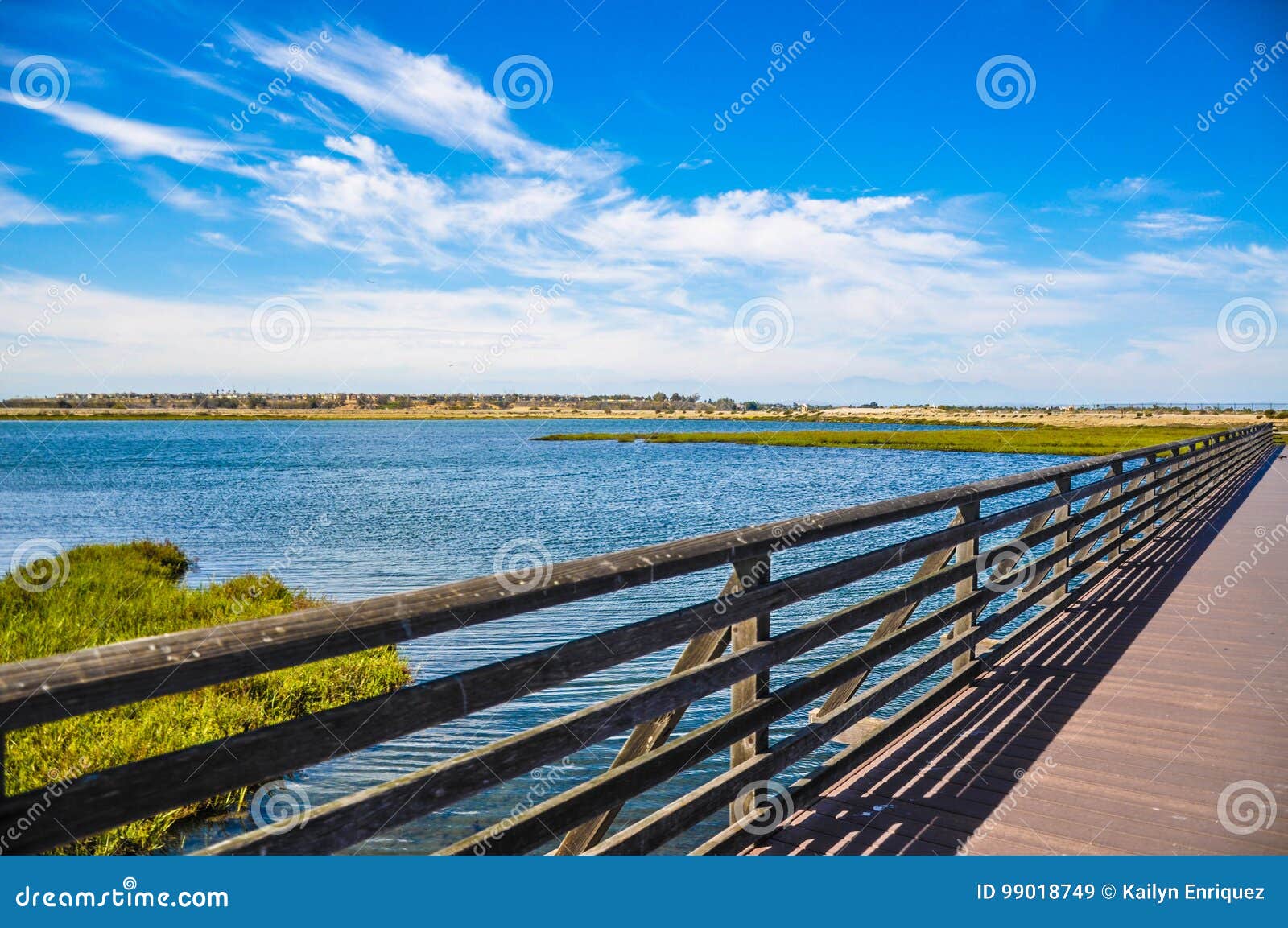 bolsa chica ecological reserve huntington beach, california