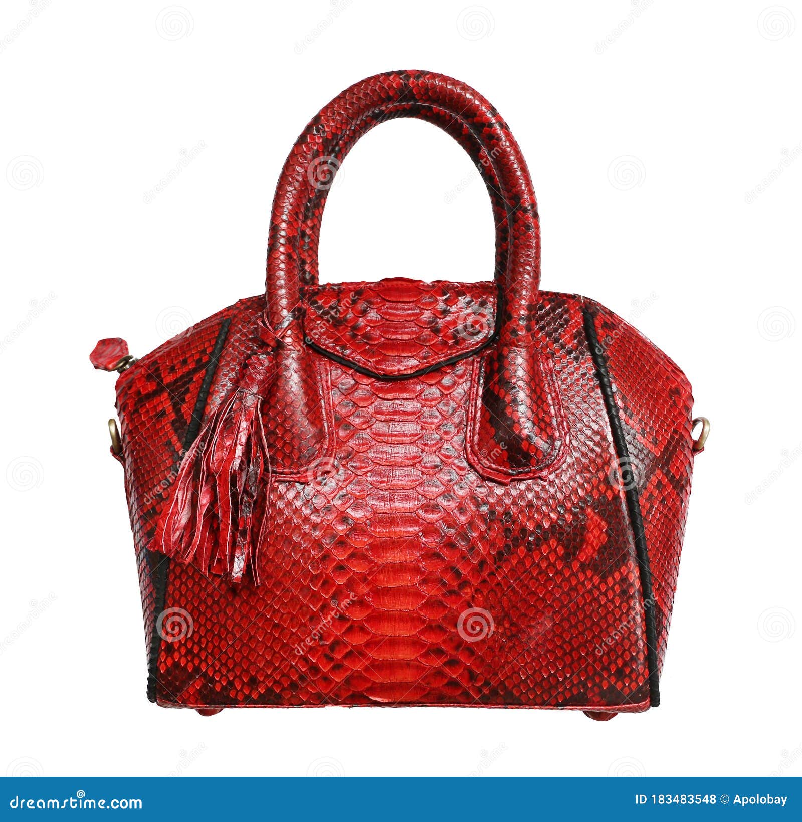 Bolsa Roja De Piel De Serpiente Pitón Aislada En Fondo Blanco. Bolso De Snakeskin Exótico Foto de archivo - Imagen elegancia, esencial: 183483548