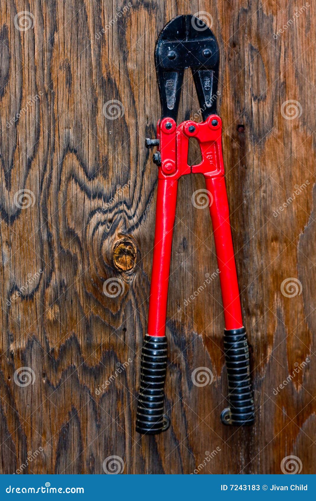 Bolt cutters stock image. Image of metal, padlock, powerful 7243183