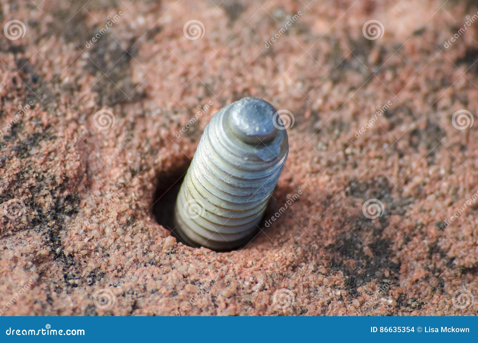 Bolt Screwed Stuck Rock Stock Photos Free & RoyaltyFree Stock Photos