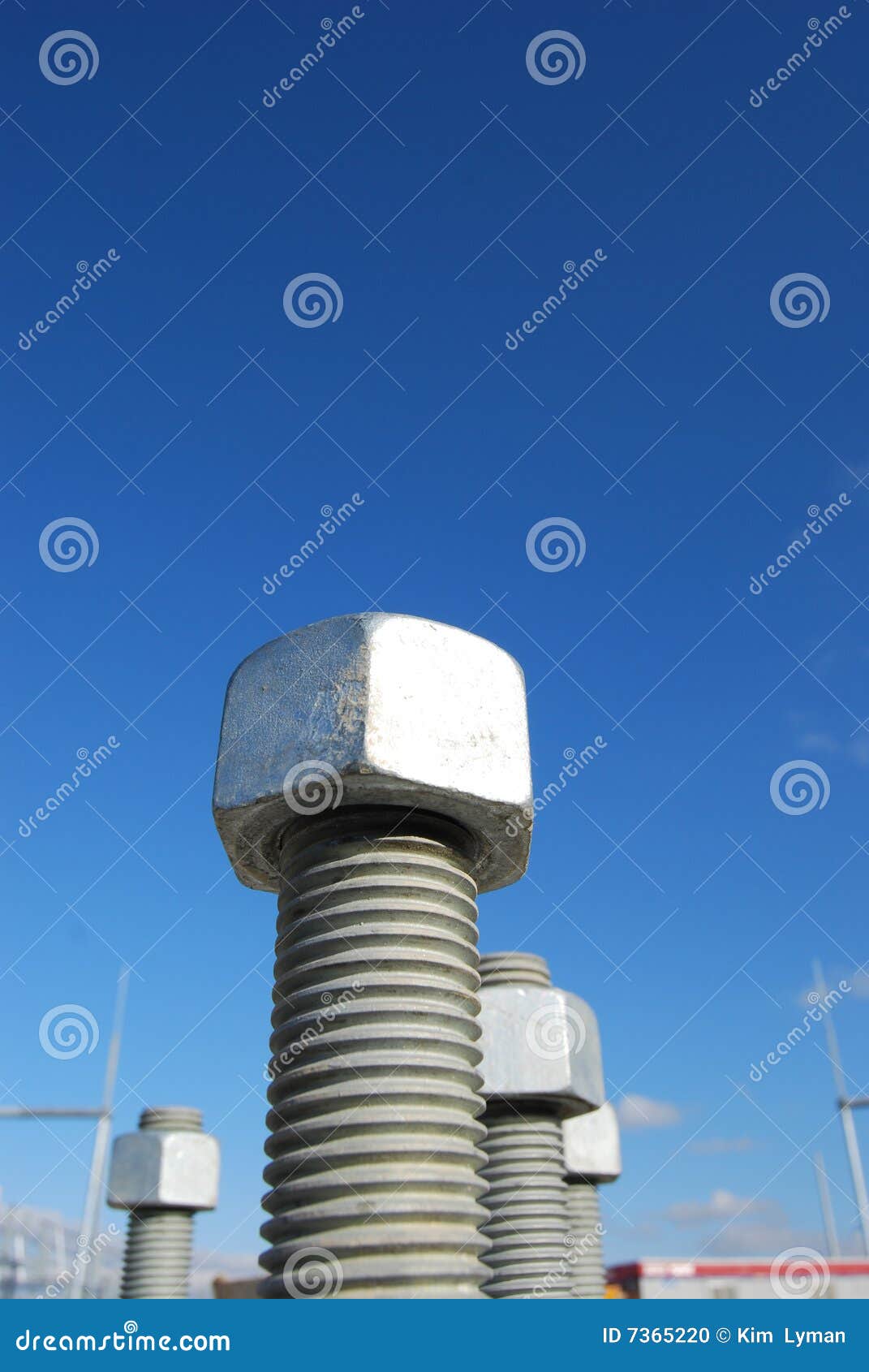 Bolts stock photo. Image of construction, growth, 7365220
