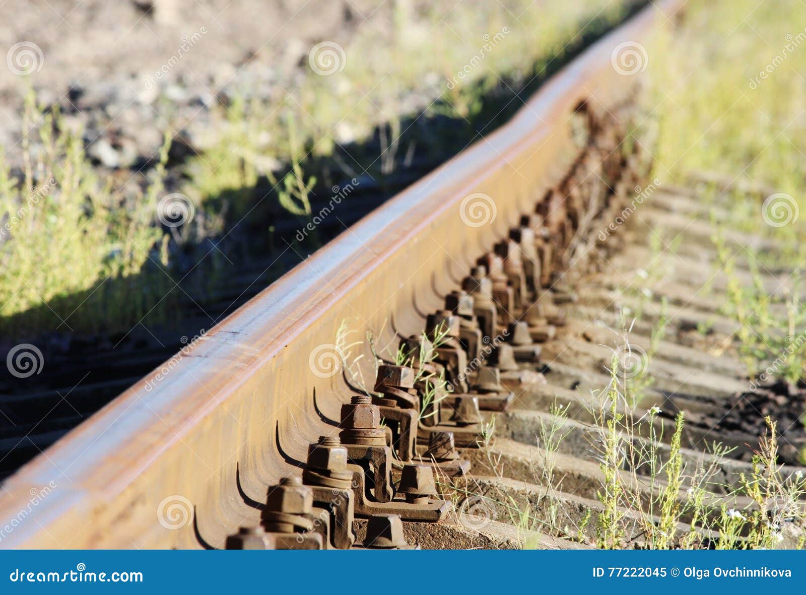 Bolts that Secure the Rails To the Sleepers on the Railway Direction