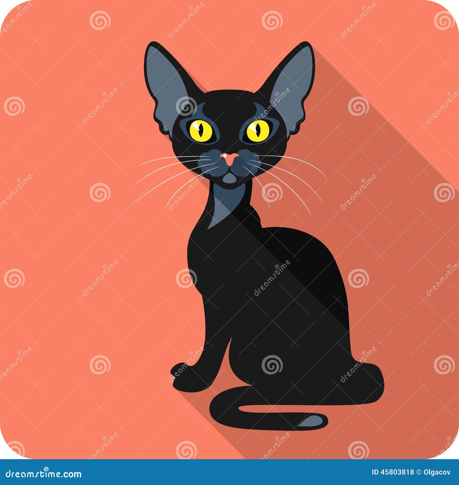 bombay black cat icon flat 