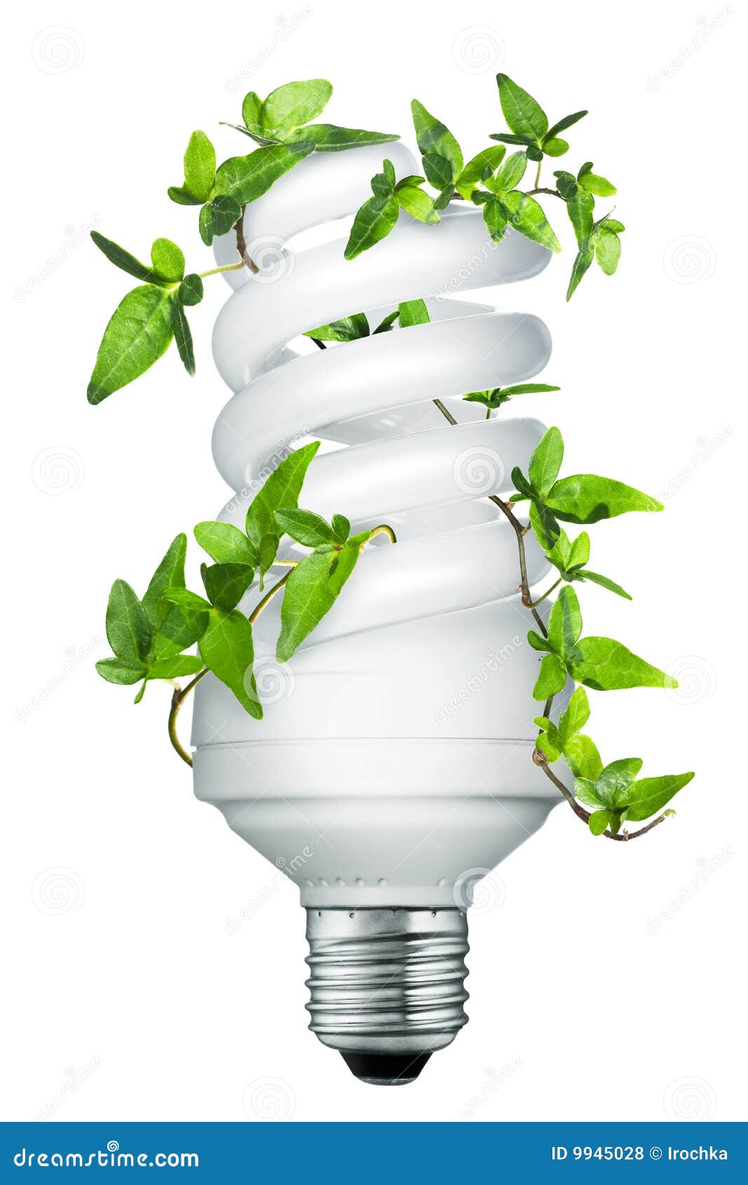 Bombilla ahorro de energía foto archivo. Imagen de bulbo -