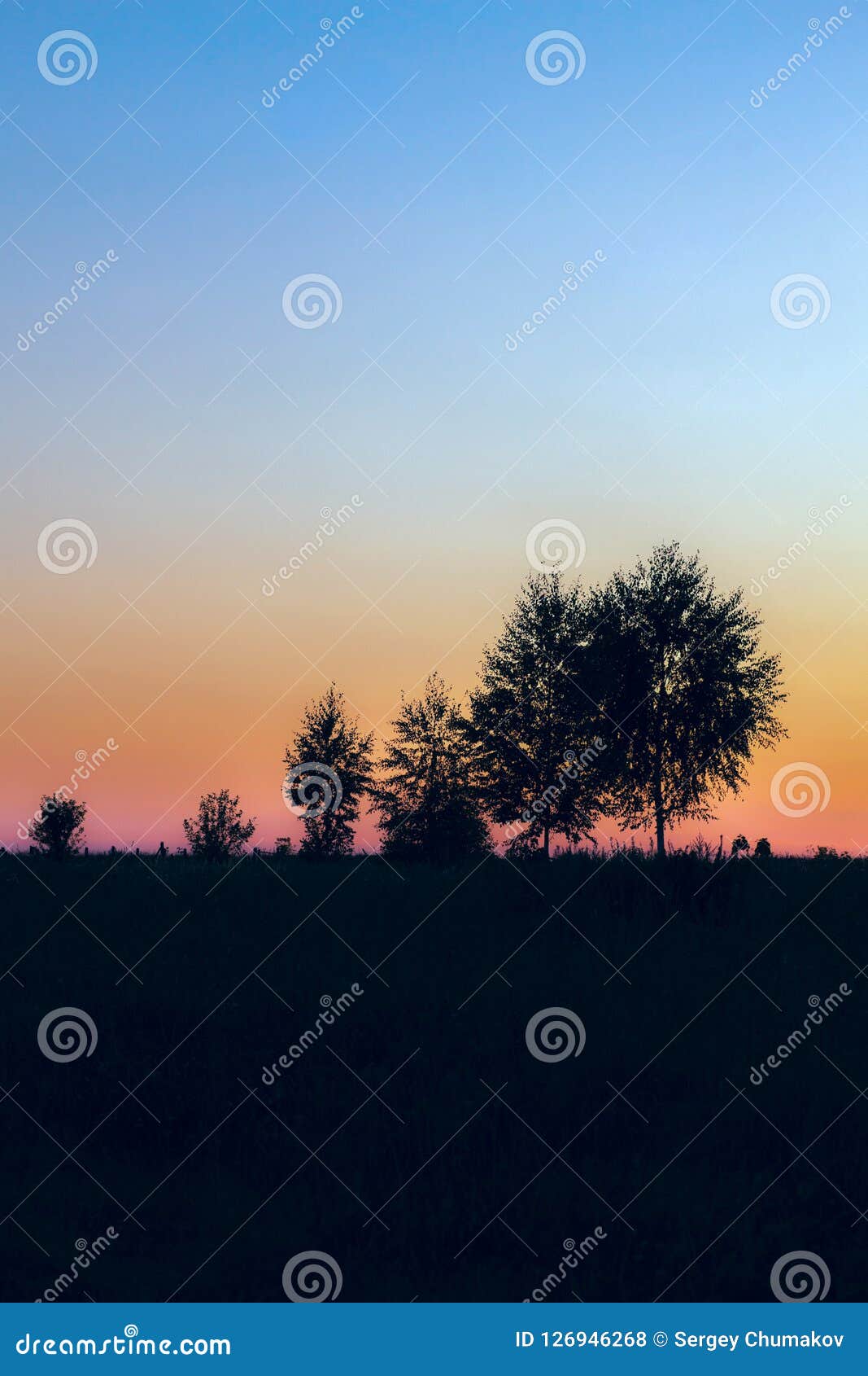 Bomensilhouetten op zonsonderganghemel. Bomensilhouetten op de hemelachtergrond van de schemerzonsondergang