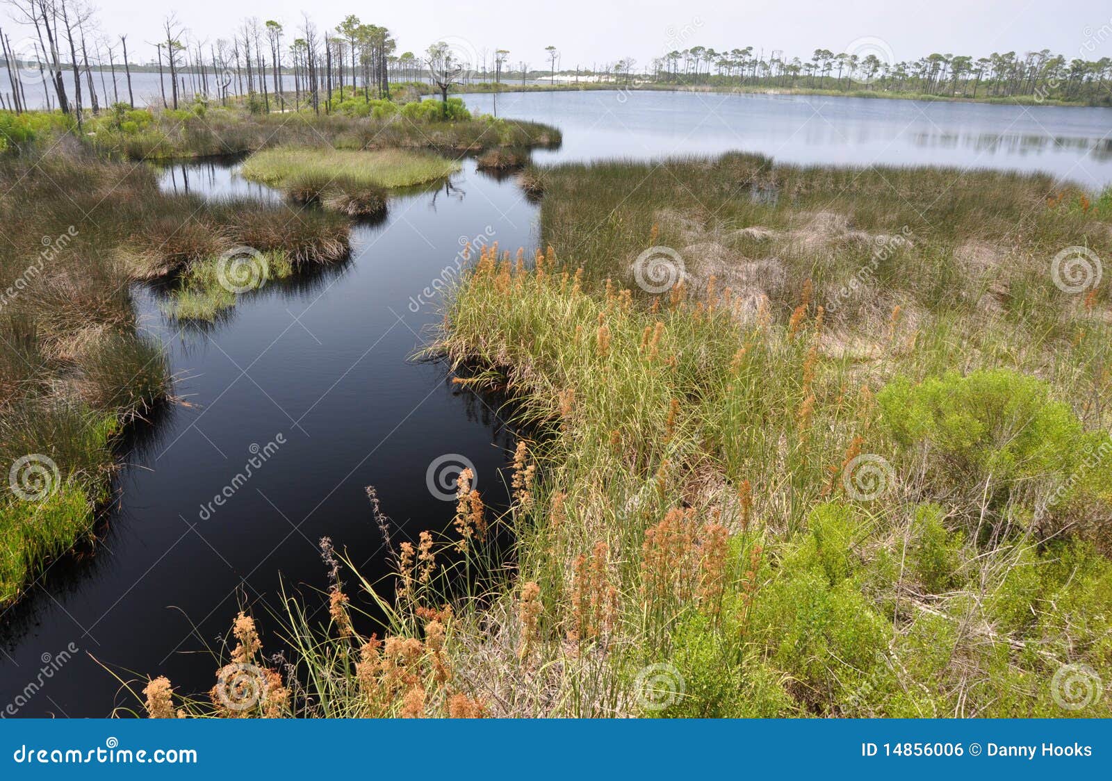 bon secour national wildlife refuge