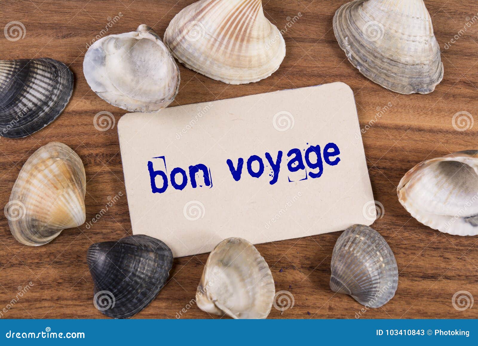 bon voyage word