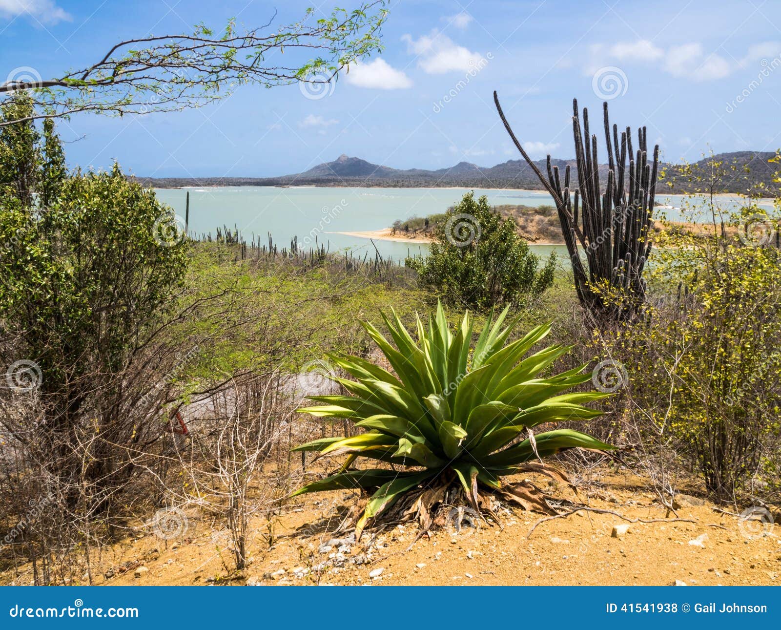 bonaire = gotomeer lake viewpoint