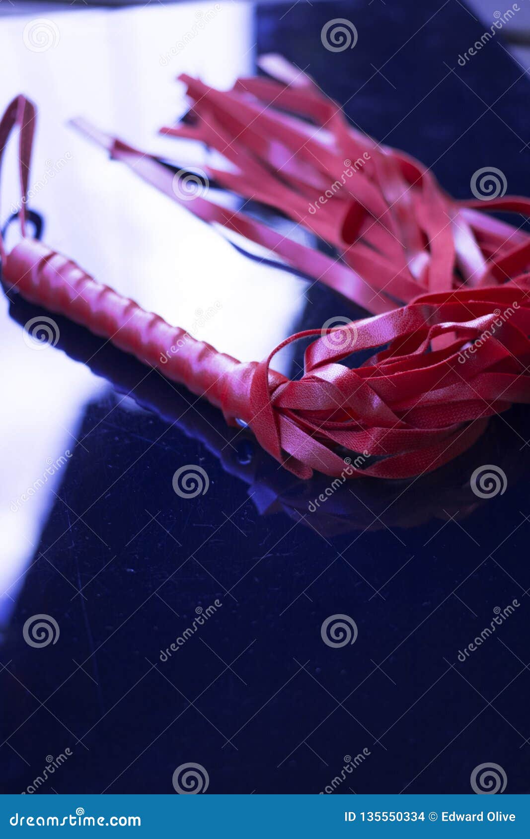 bondage leather whip