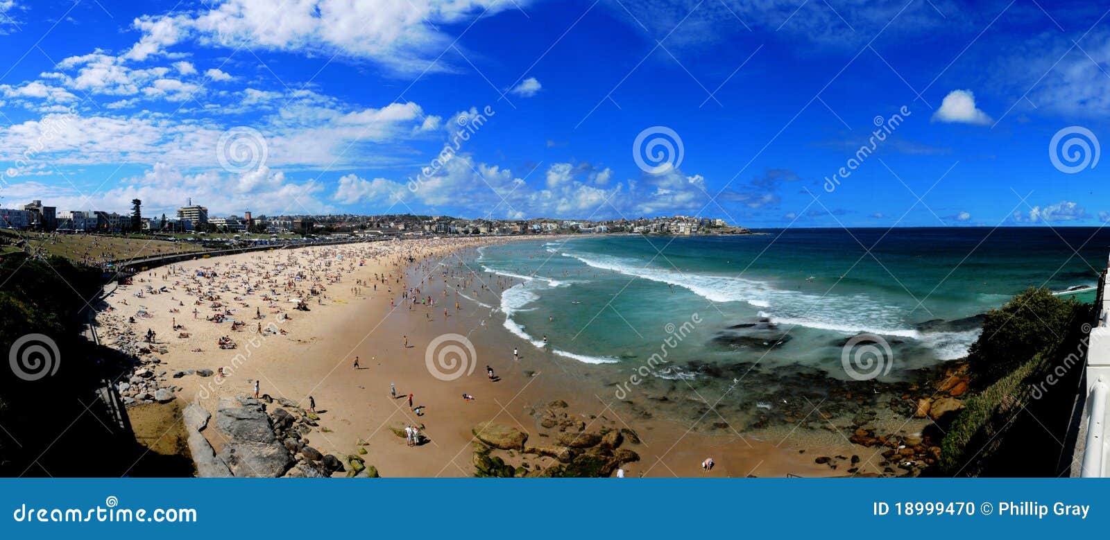 bondi beach panorama