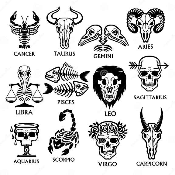 Bone Horoscope. Zodiac Signs Stock Vector - Illustration of horoscope ...
