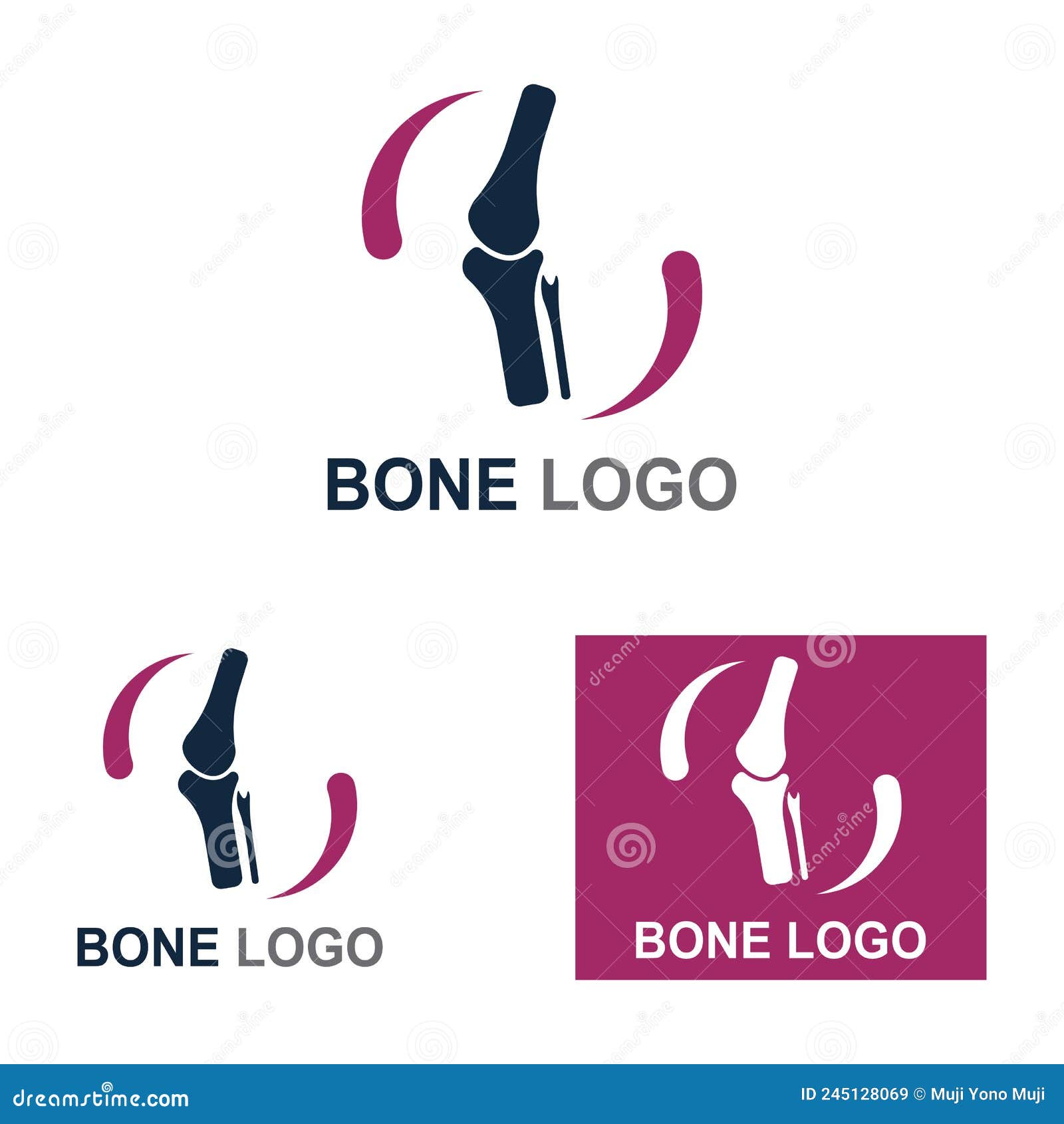 Bone Logo Icon Vector Design Template Illustration Stock Vector