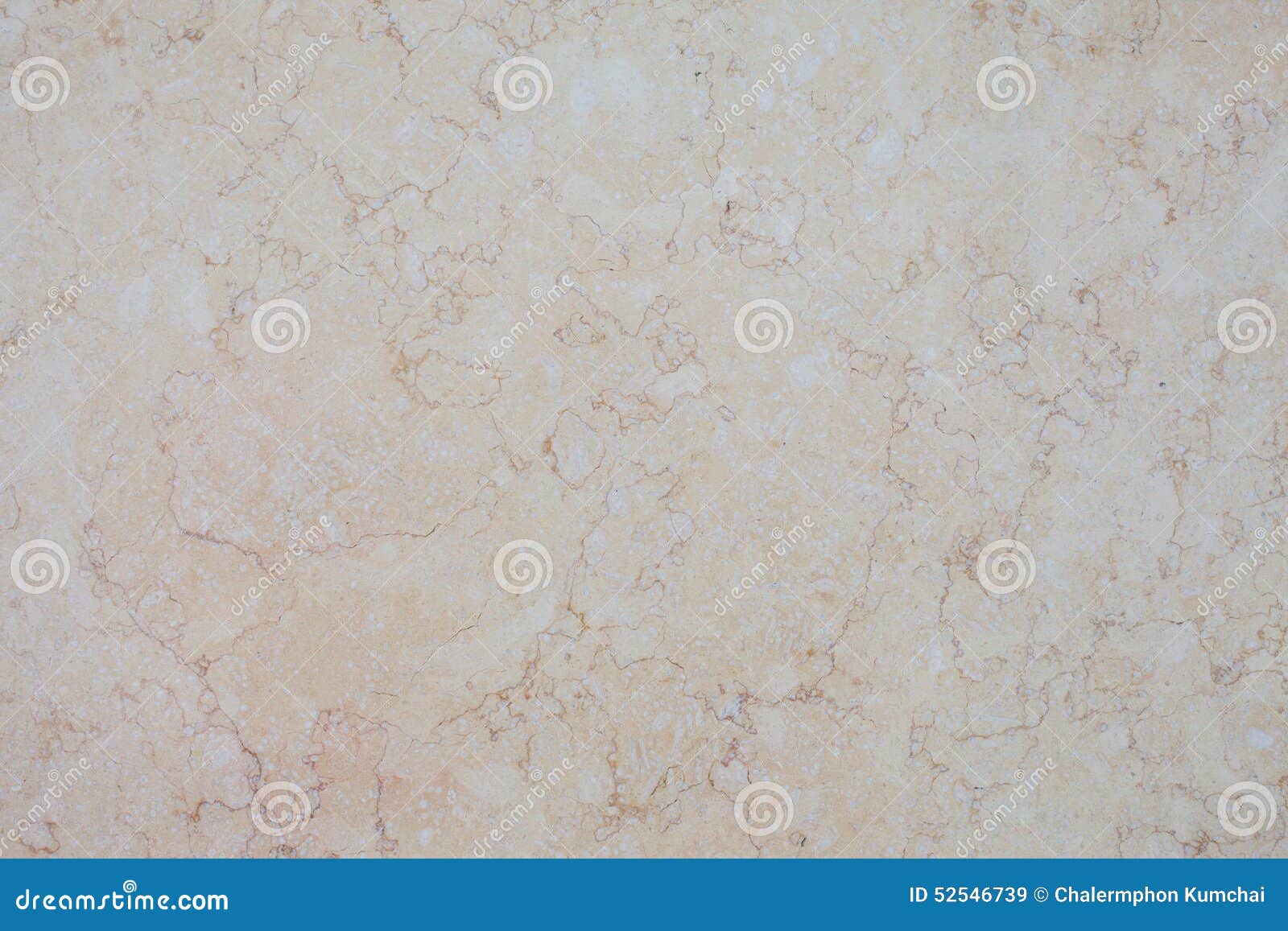 Bone Marble with Thiny Line Stock Image Image of gloss, bone 52546739