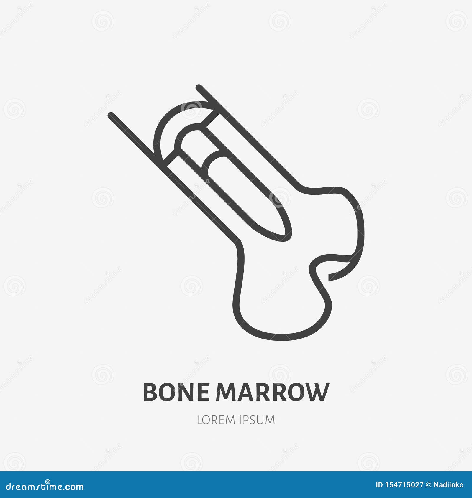 bone marrow flat line icon.  thin pictogram of human skeleton structure, outline  for orthopedic