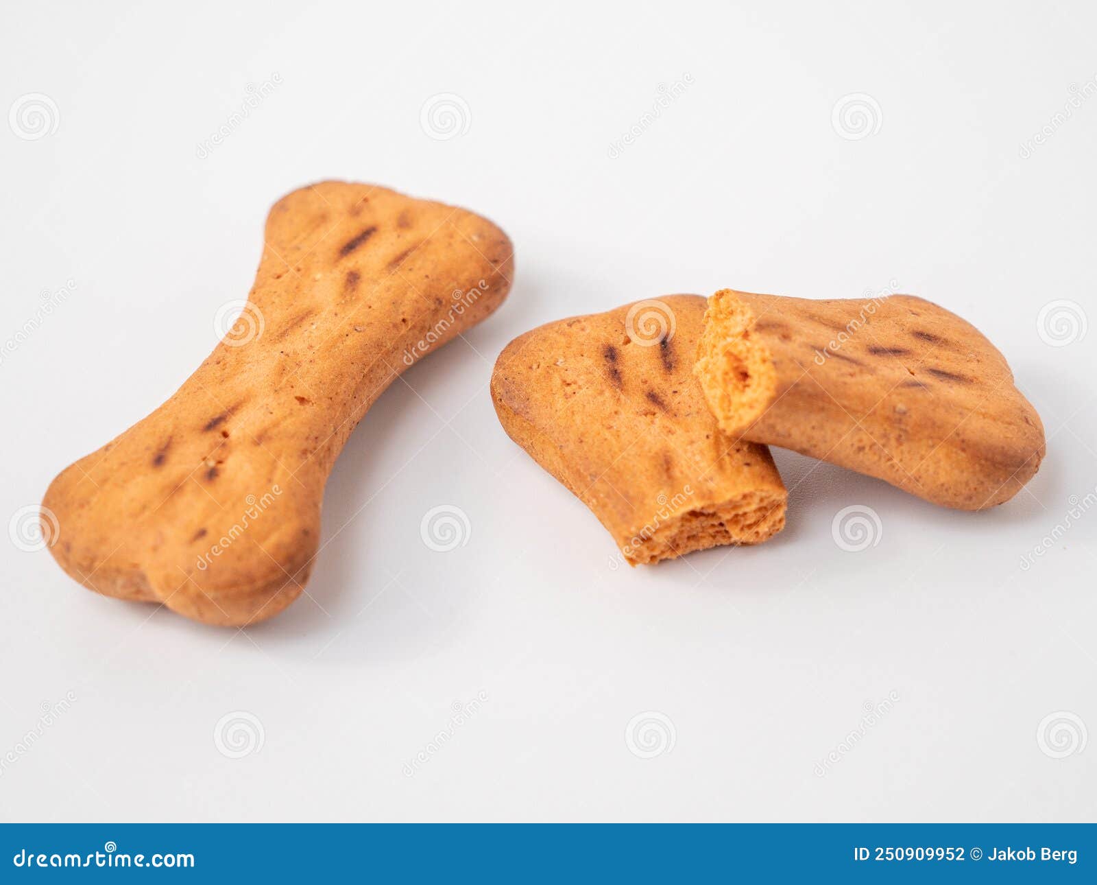 Bone shaped dog biscuits. stock photo. Image of nutrition 250909952