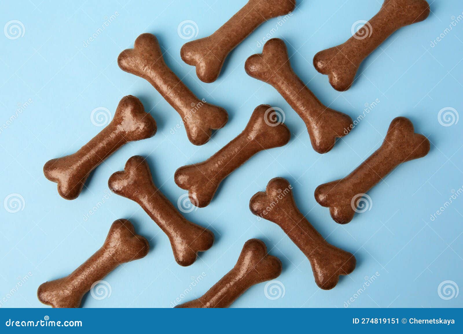 Bone Shaped Dog Cookies on Light Blue Background, Flat Lay Stock Image