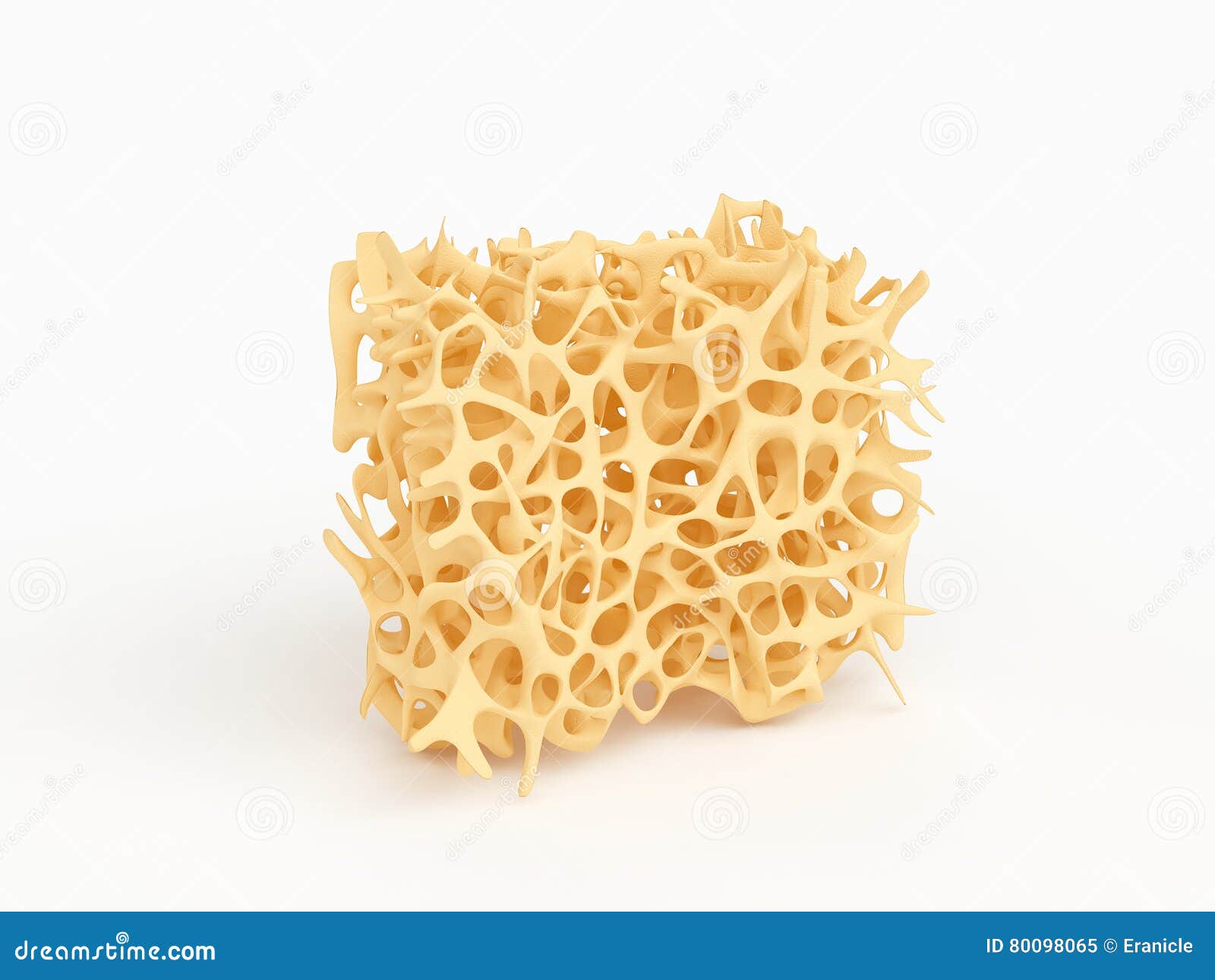 bone structure part with osteoporosis  on white