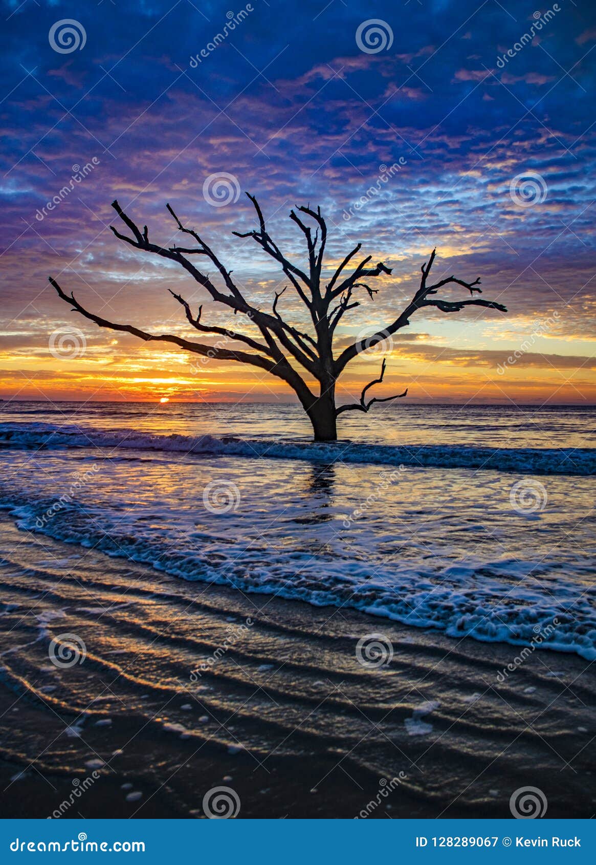 botany bay plantation in editso island south carolina near charleston sc