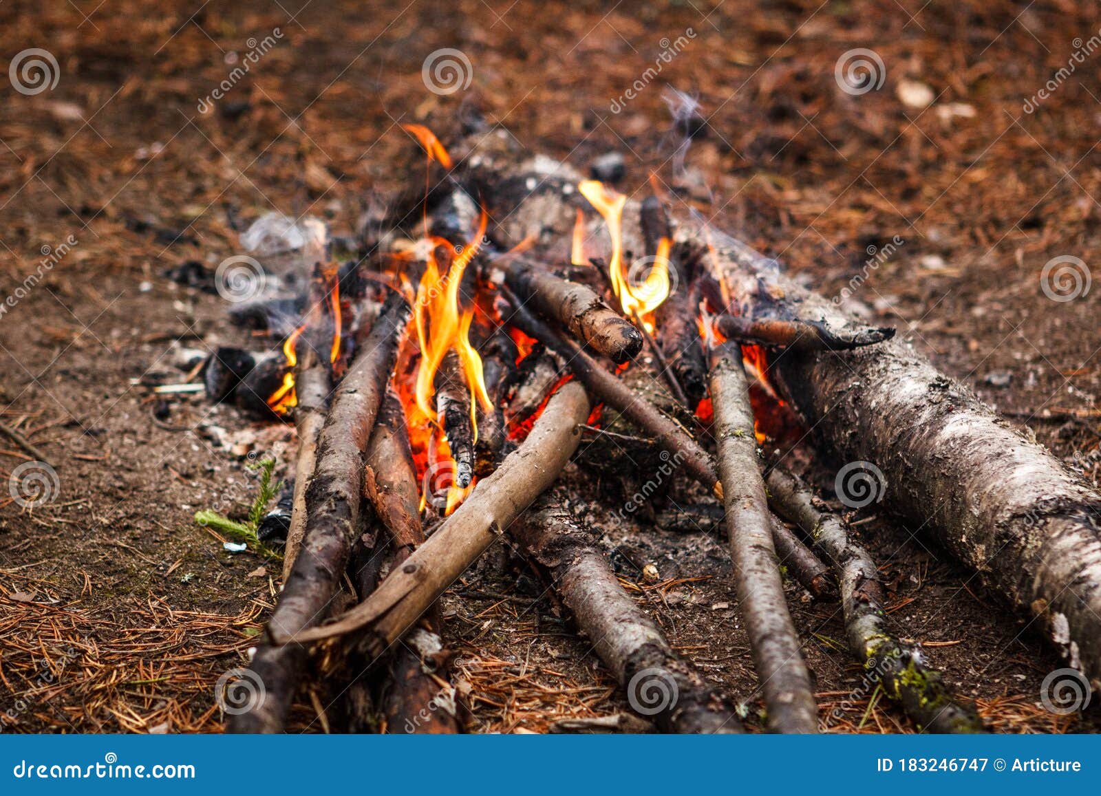 Bonfire in Autumn Forest. Family Weekend. Stock Image - Image of focus ...
