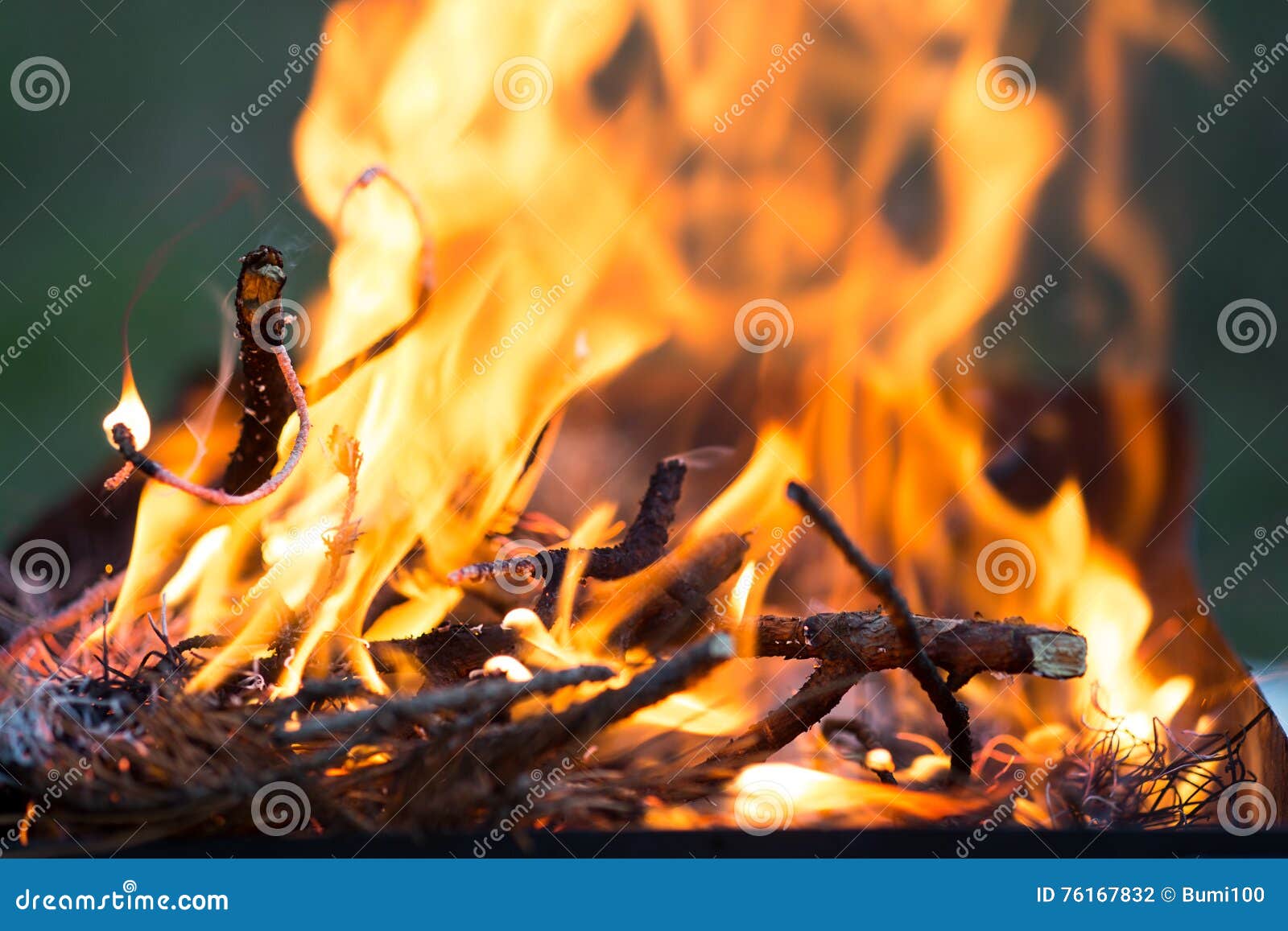 bonfire, burning branches, macor fire and smoke, close-up