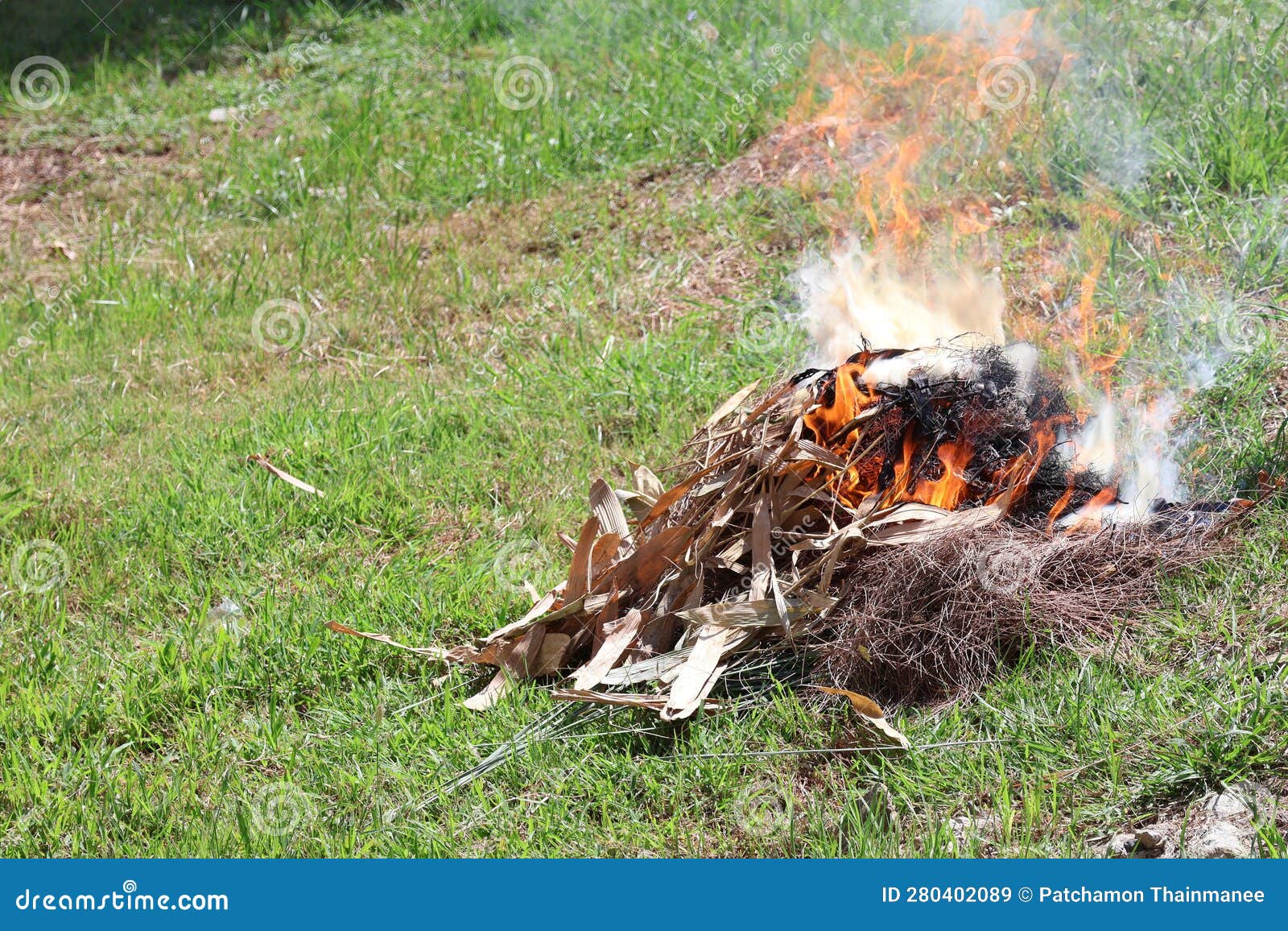 A Bonfire Burning Dry Grass and Leaf Fragments, a Fireprone and